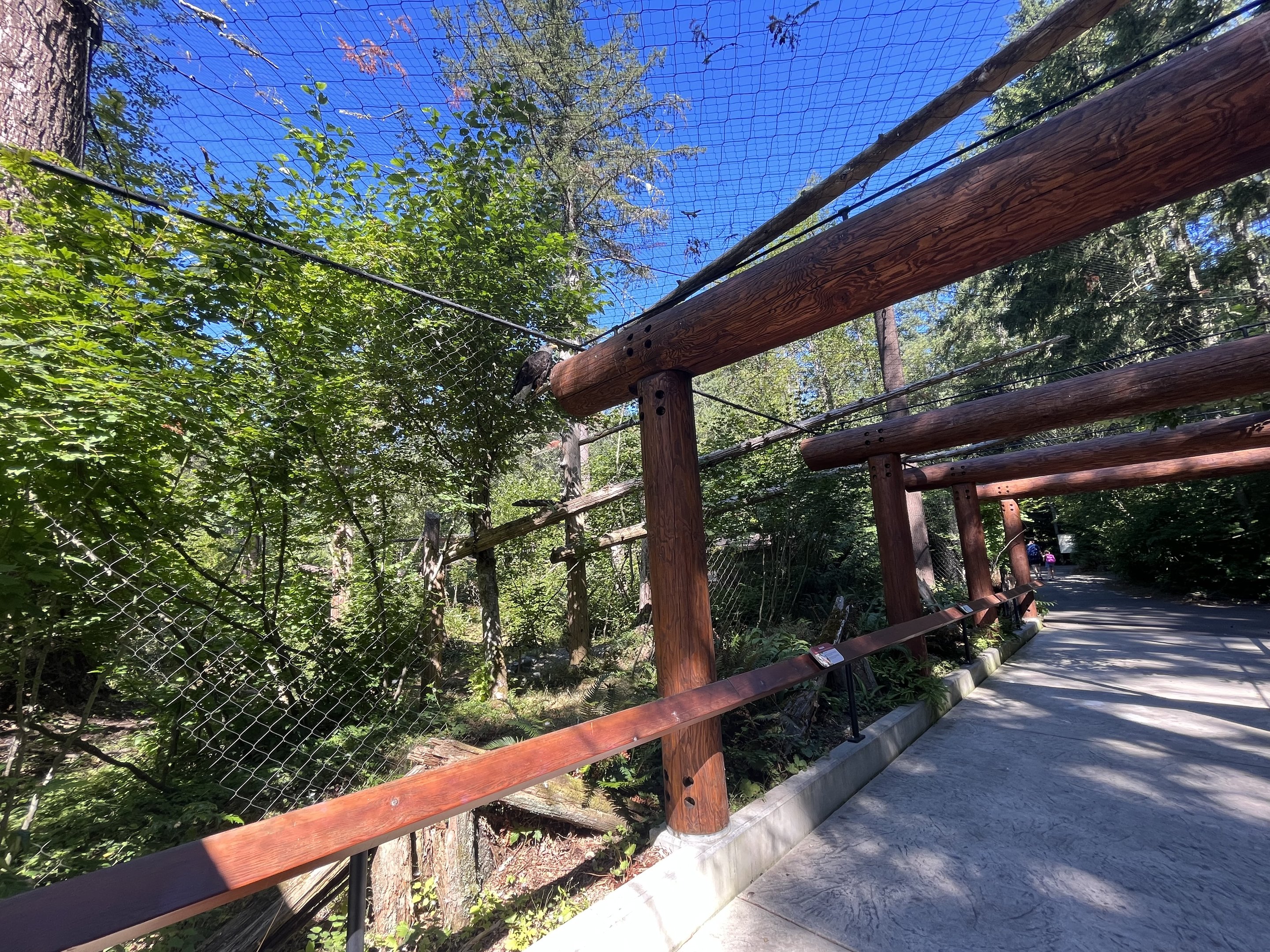 Eagle Passage - New in 2019