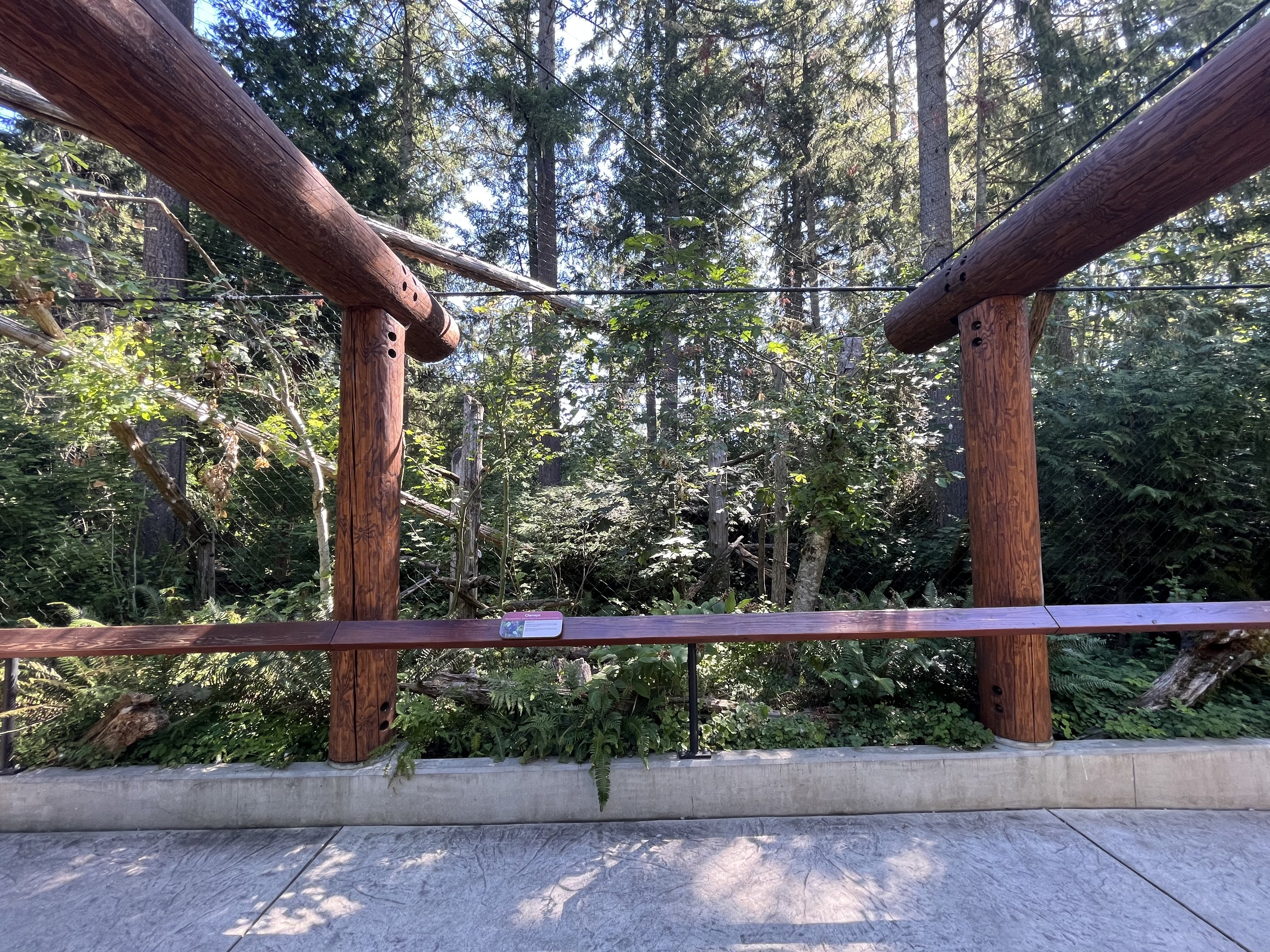 Eagle Passage - New in 2019