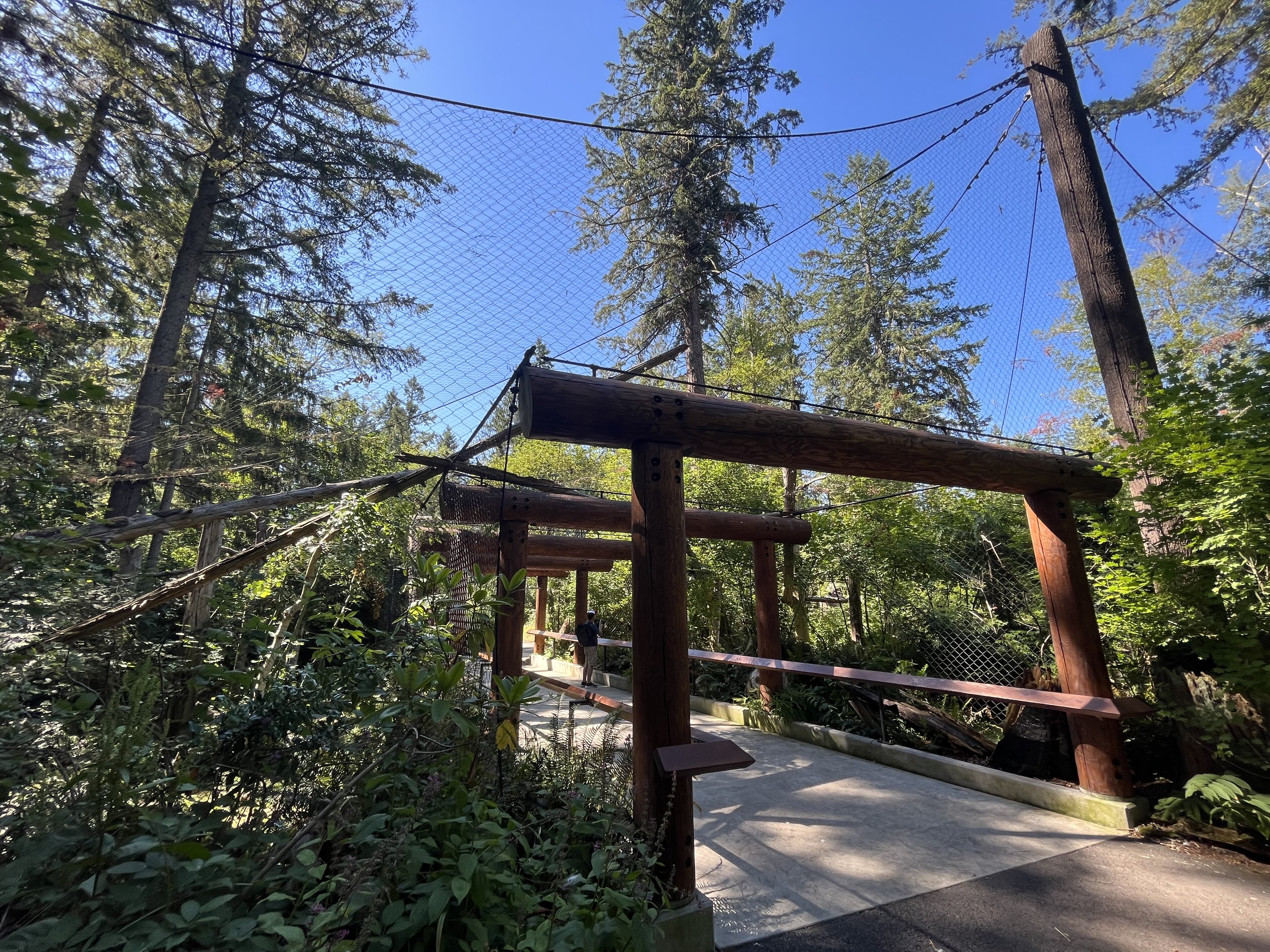 Eagle Passage - New in 2019