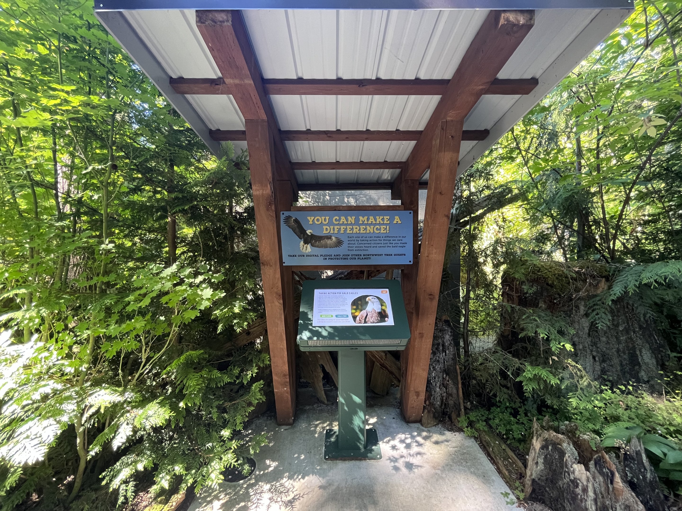 Eagle Passage - New in 2019