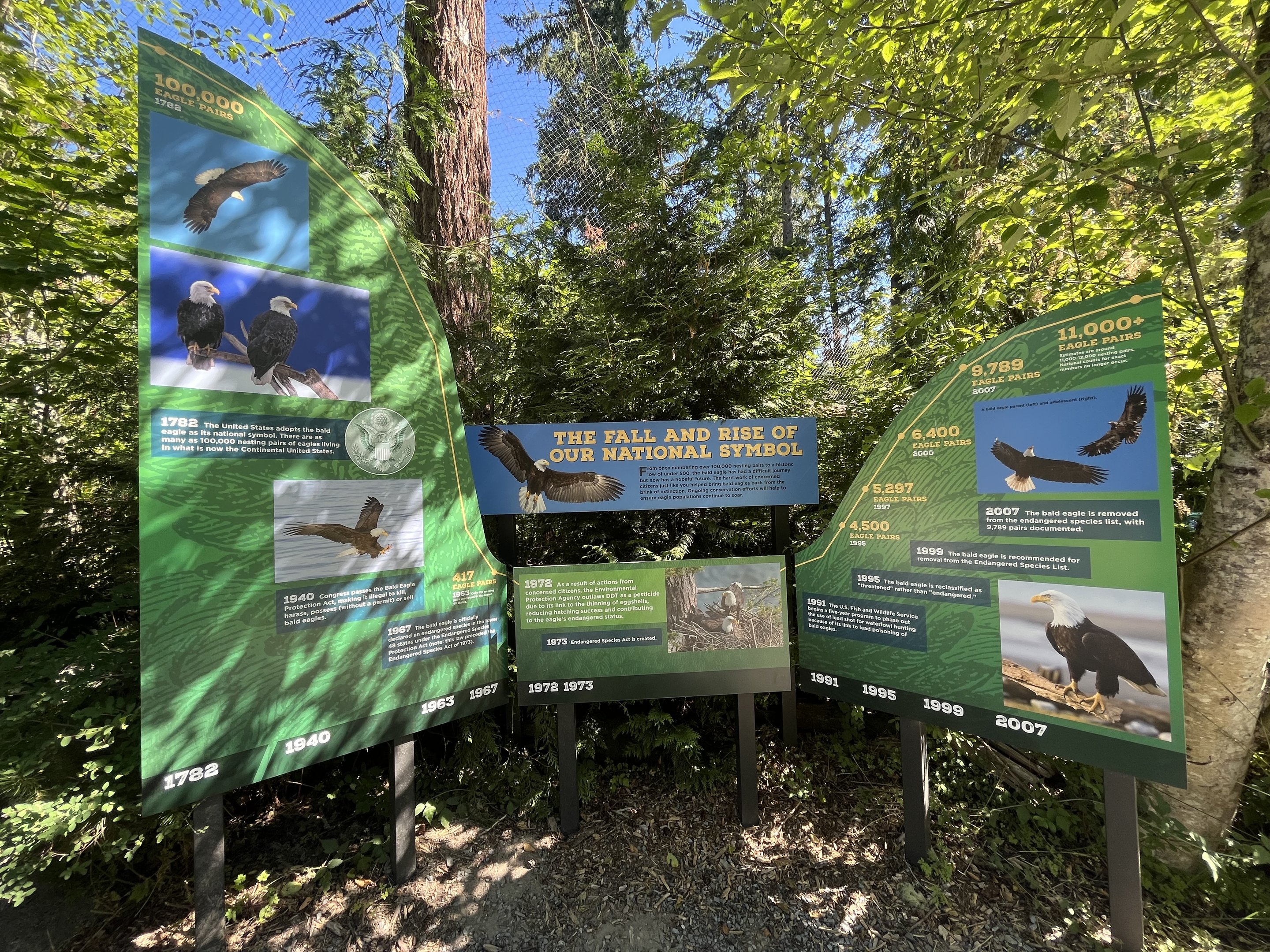 Eagle Passage - New in 2019