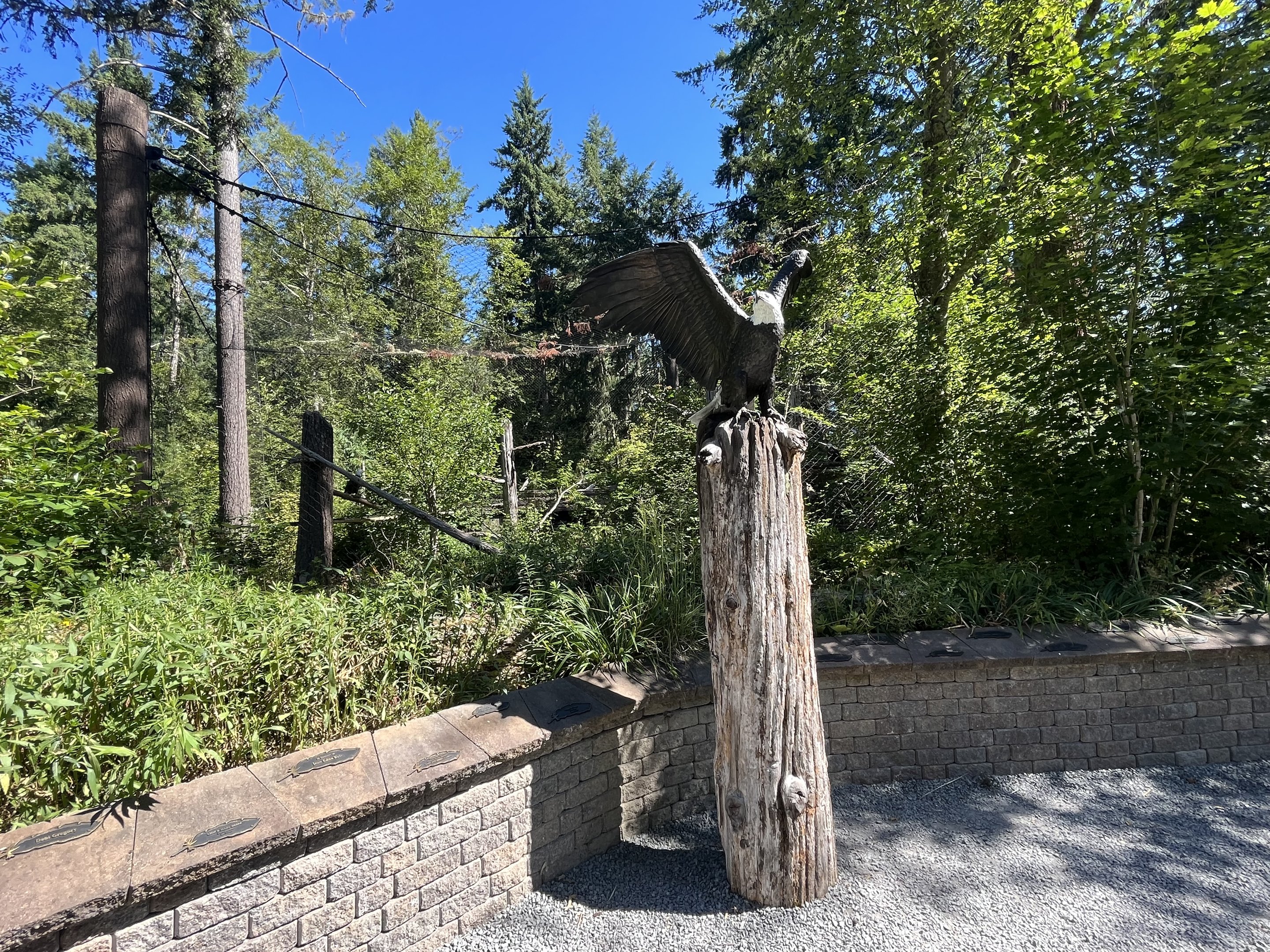 Eagle Passage - New in 2019