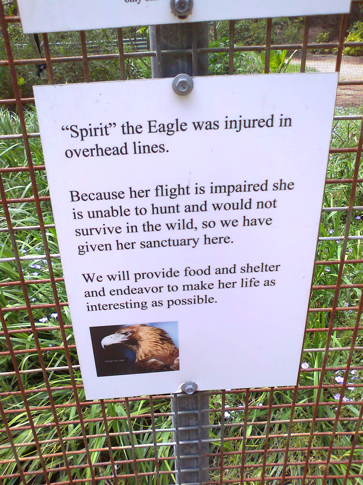 Eagle sign