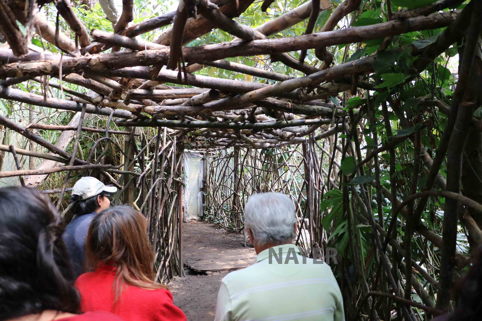 Eagle walk - Bioparque la Reserva, March 2016
