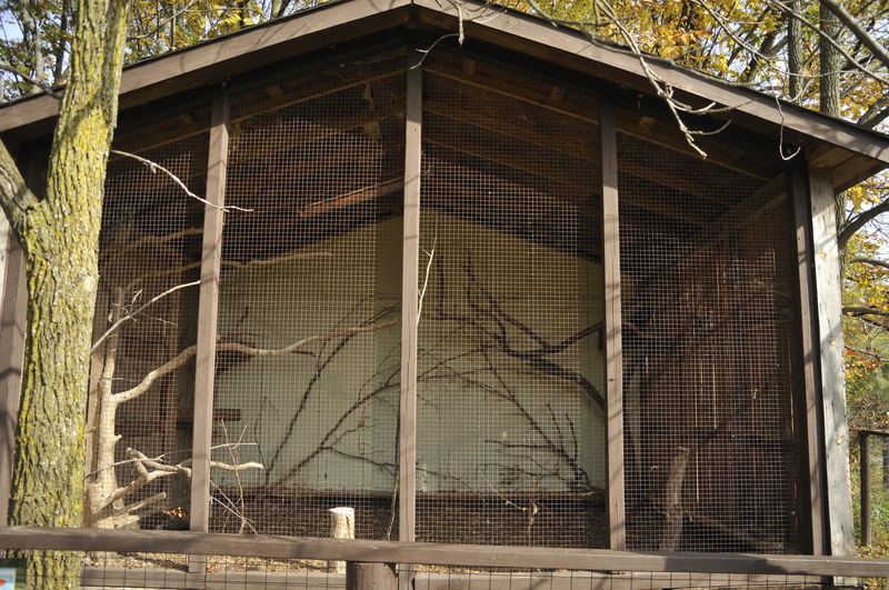 Eagleowlcage at Twin Vally Zoo