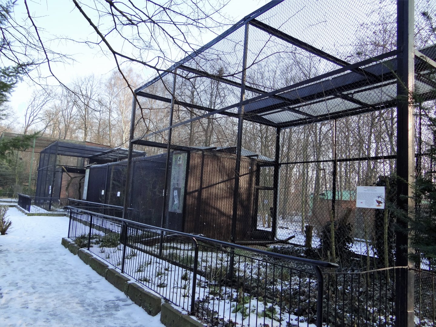 Eagles and owls aviaries