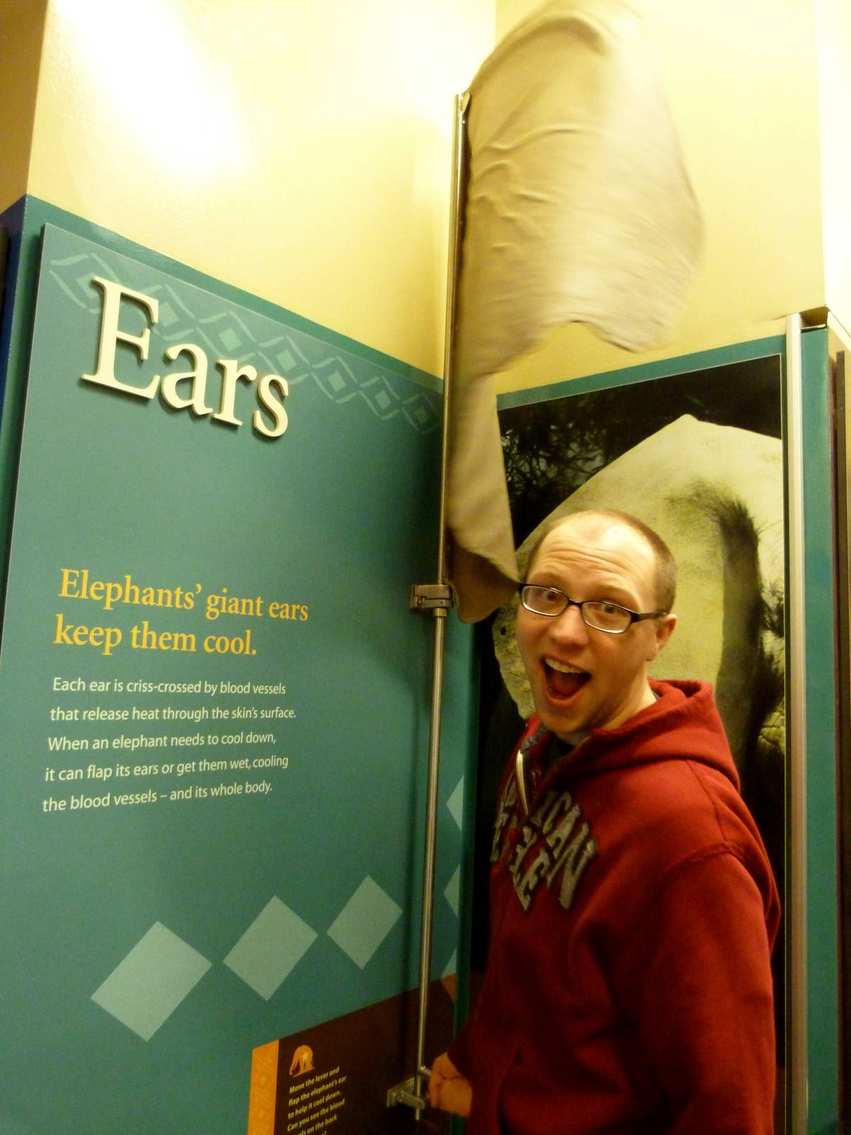 Ear Interactive Graphic