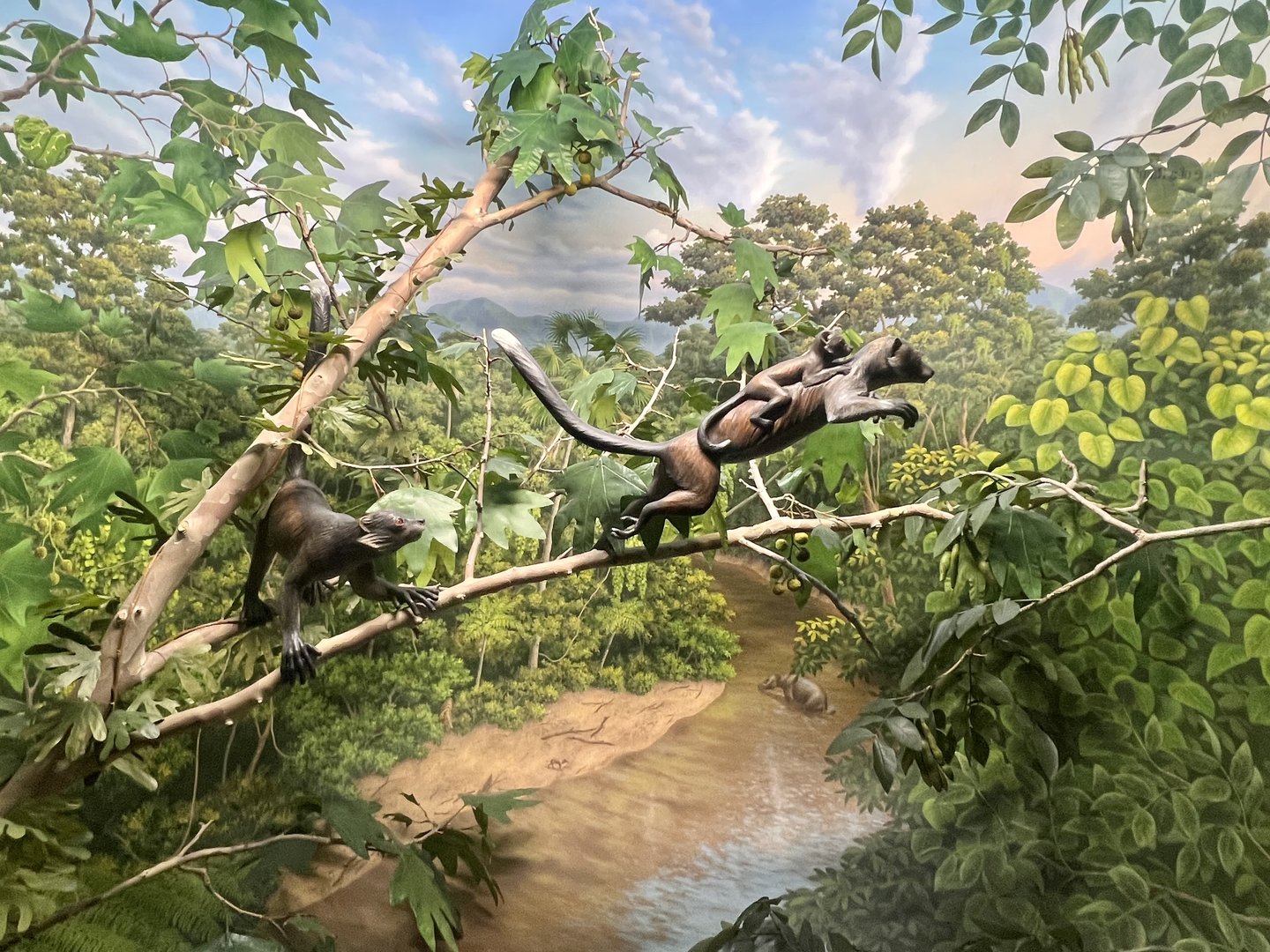 Early American Primates