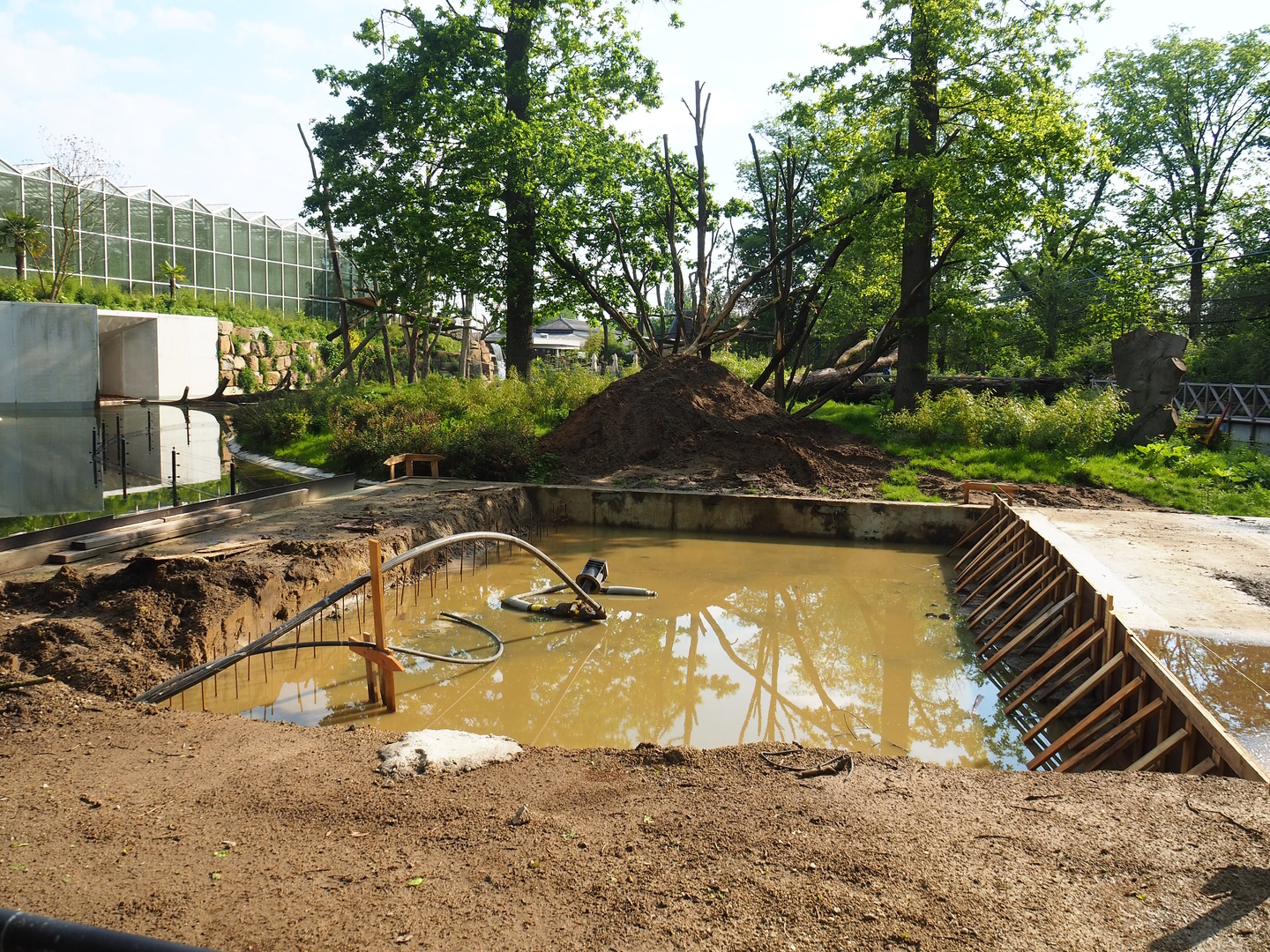 Early construction of Sulawesi black crested macaque house, 2023-05-13