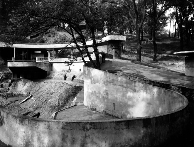 EARLY DAYS BEAR RAVINE