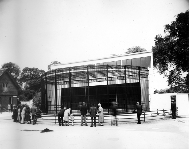 early days gorilla house