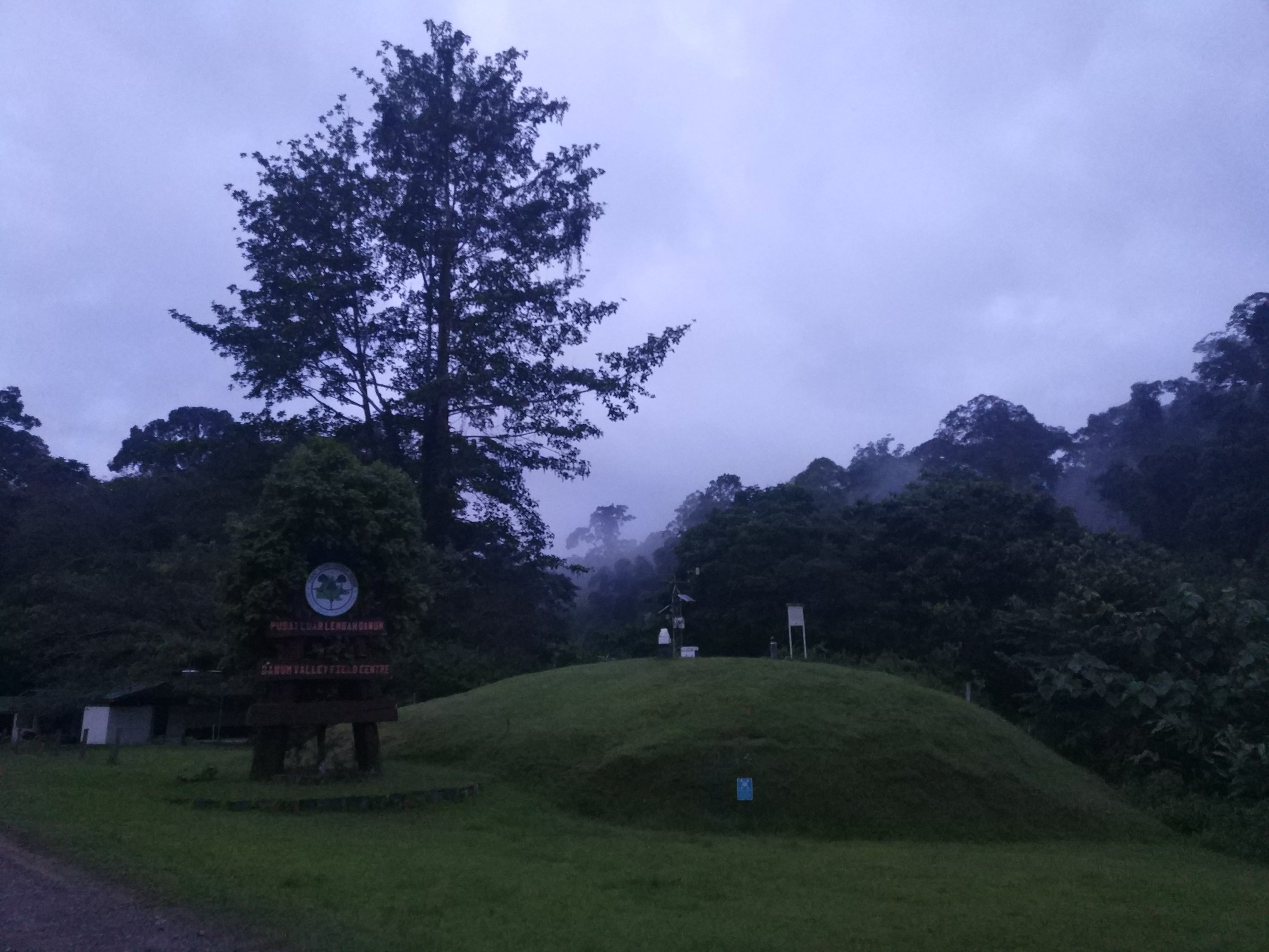 Early morning - Danum Valley Field Centre