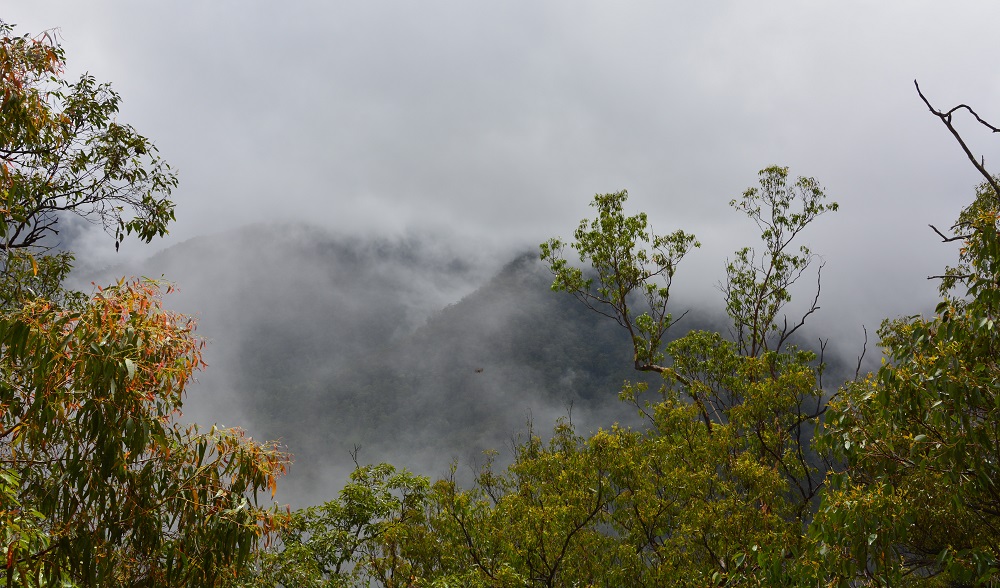 Early morning mist.   Great Dividing Range.   NSW