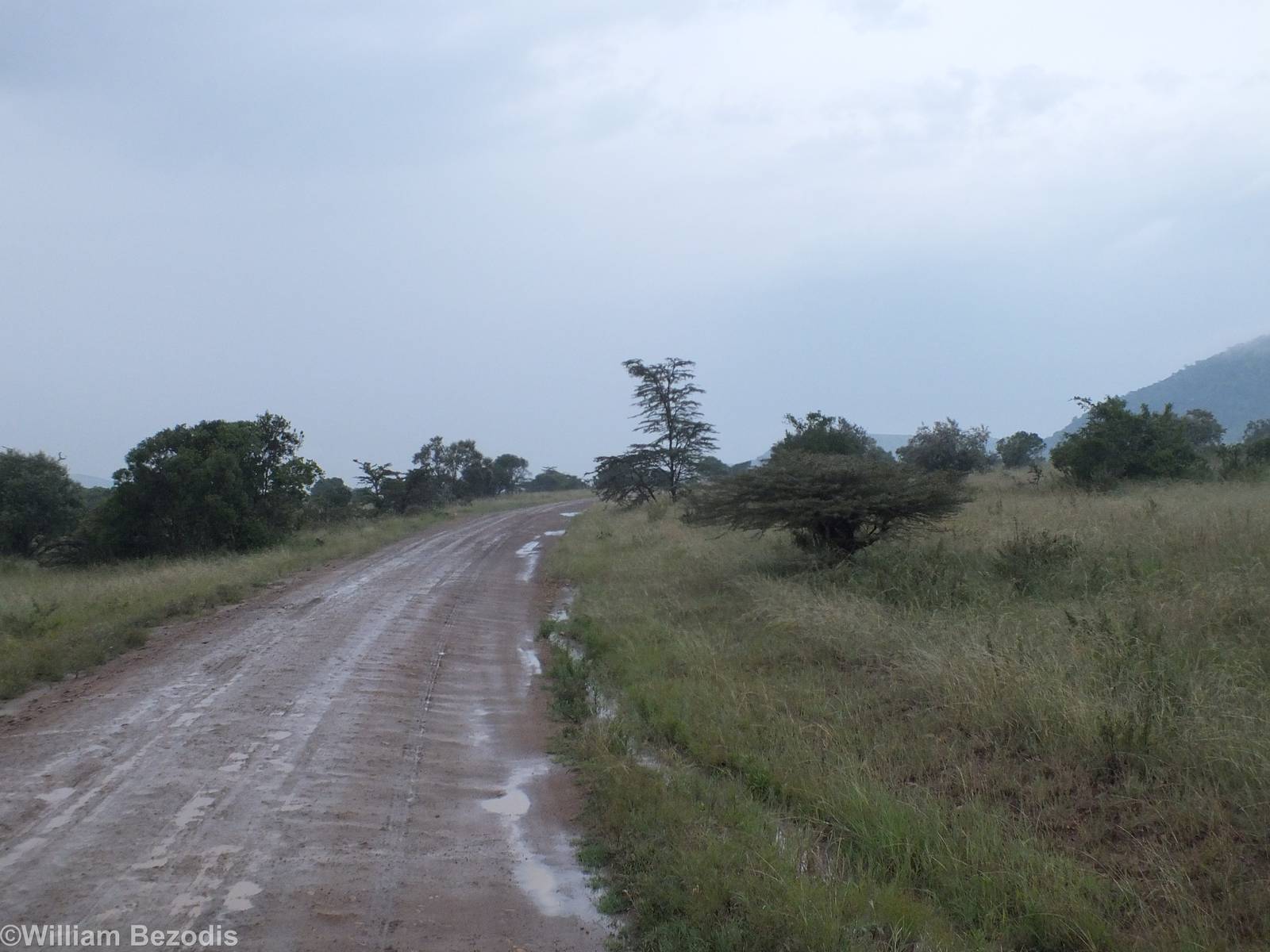 Early Morning View - Maasai Mara