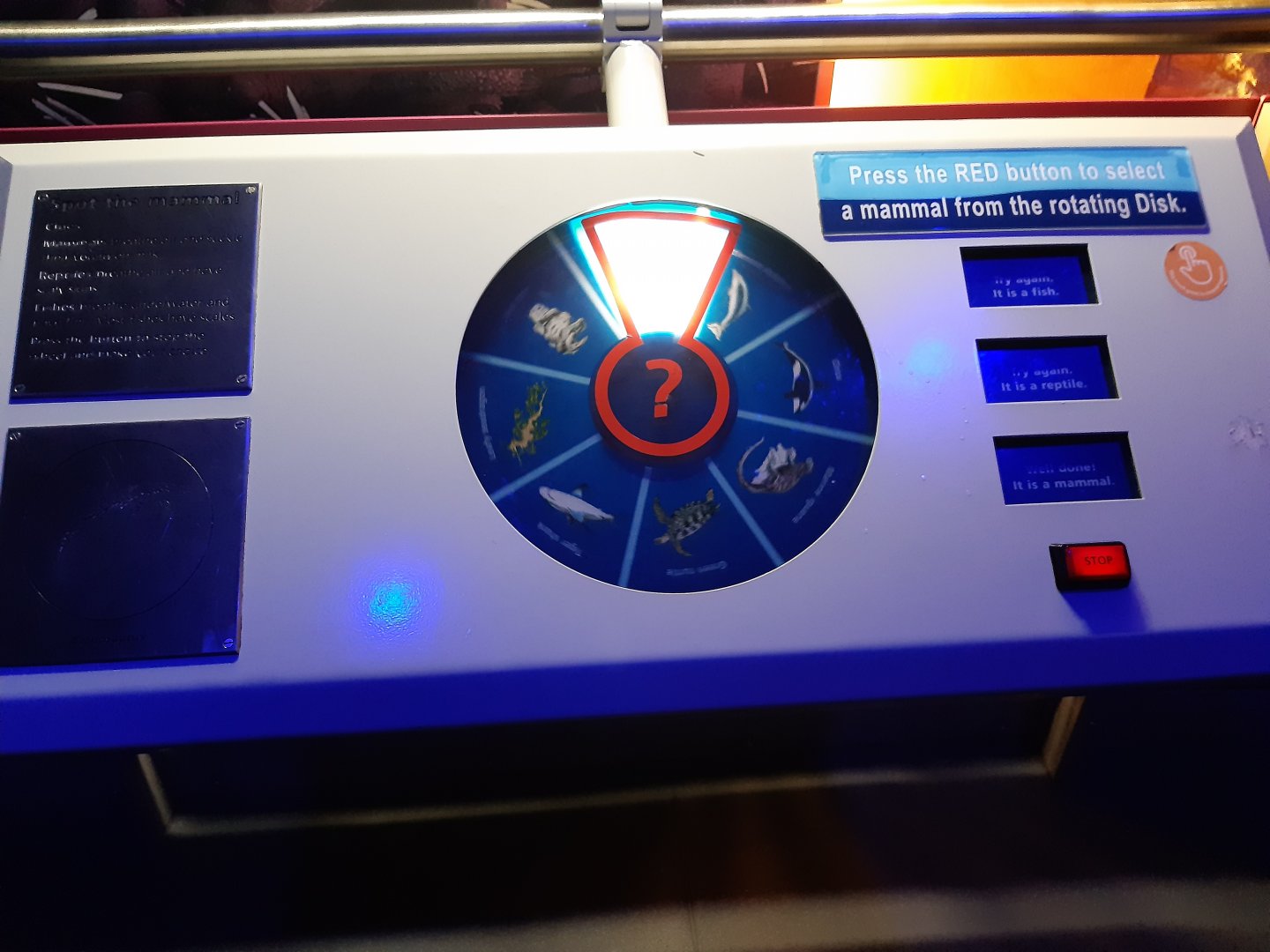 Early Seas Interactive Display