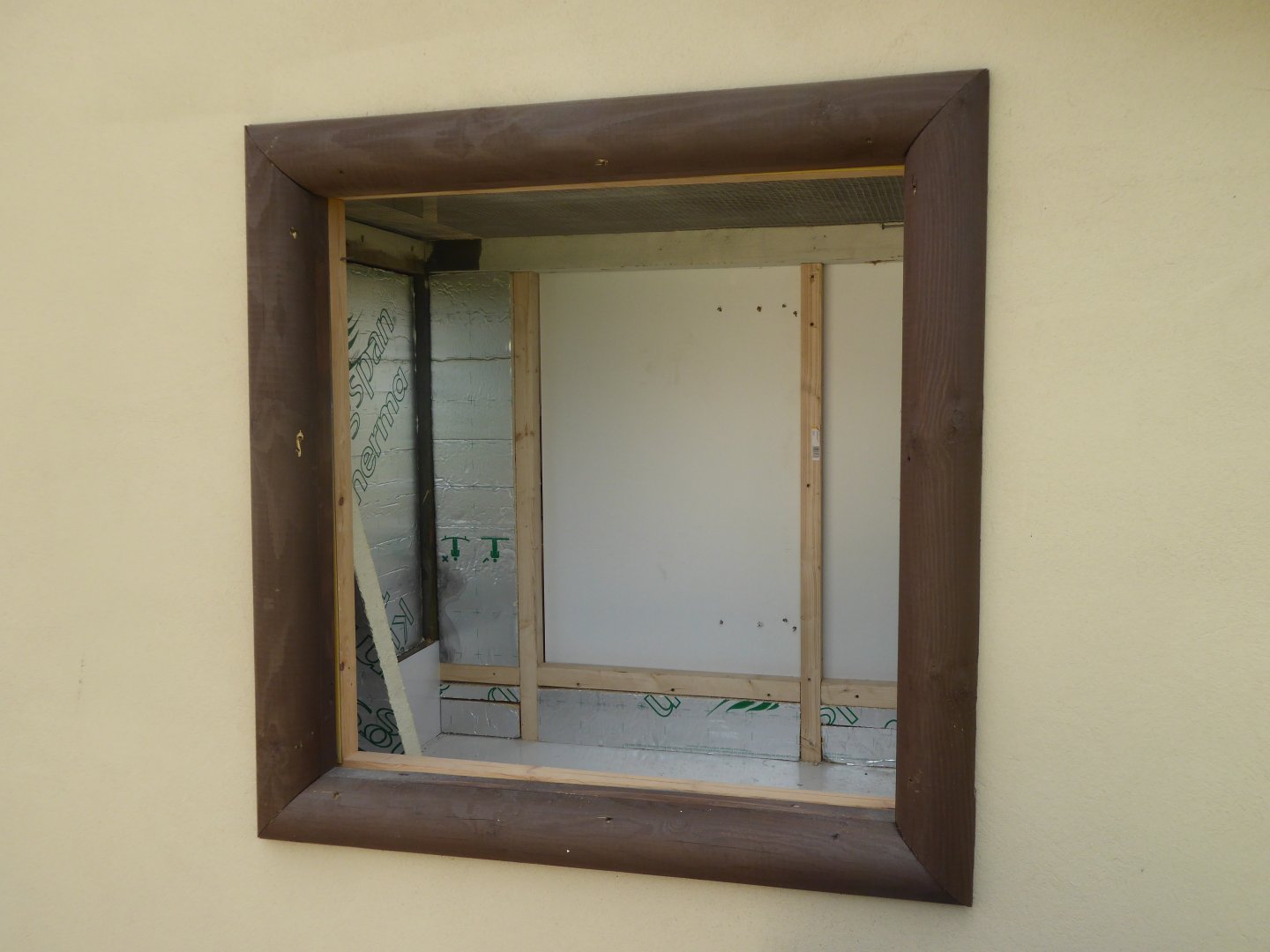 Early work on snake exhibit, 12th June 2017