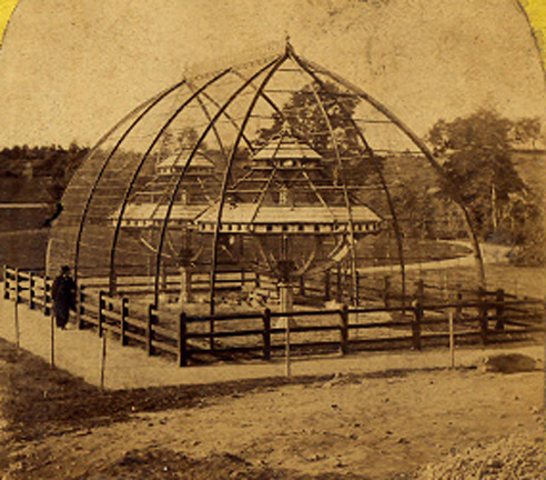 Early Zoo - Dovecot