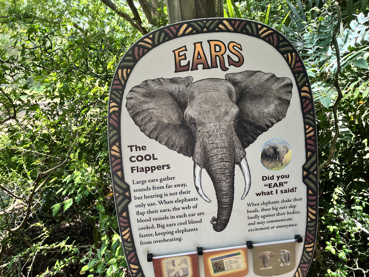 Ears Signage