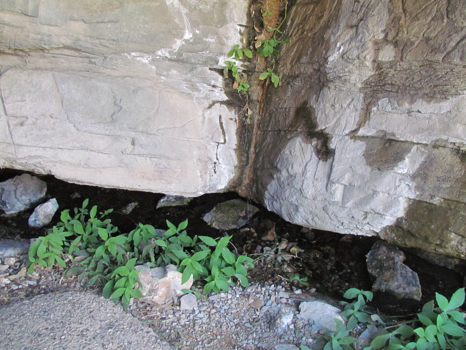 Earth Science Center - Cave
