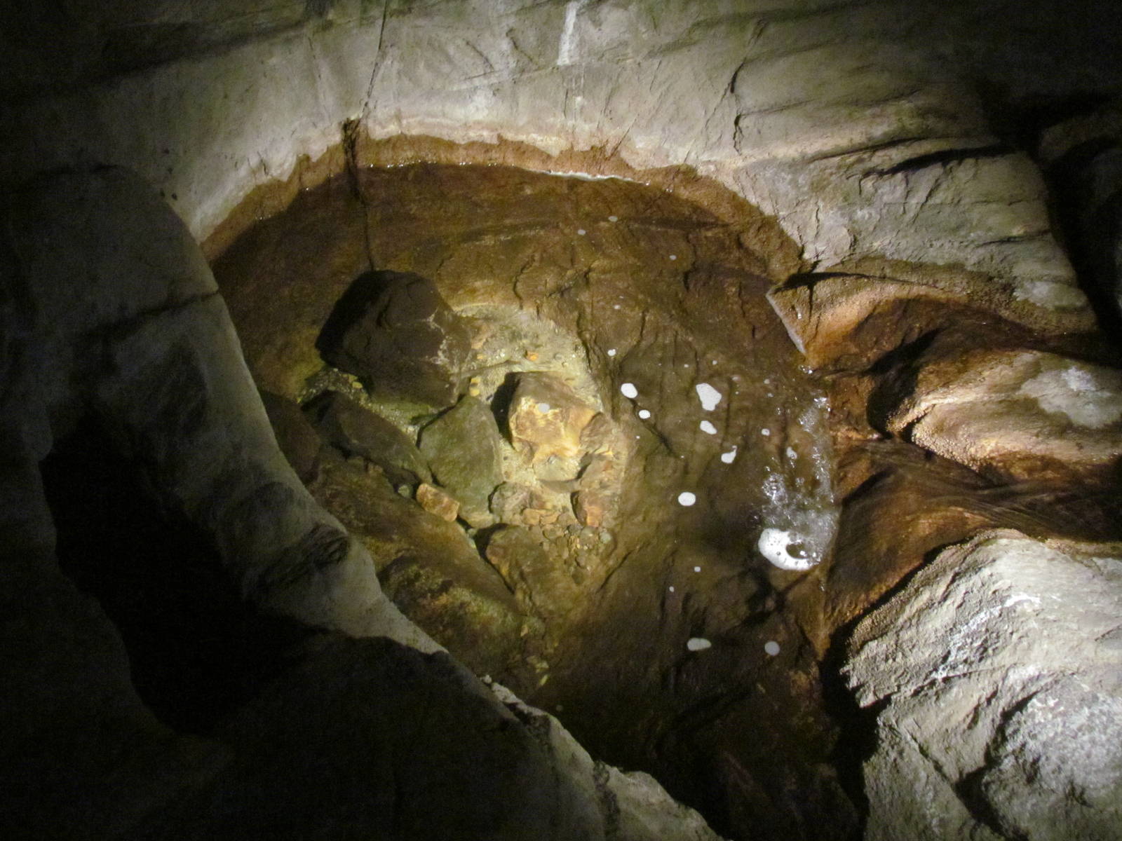 Earth Science Center - Crayfish Pool