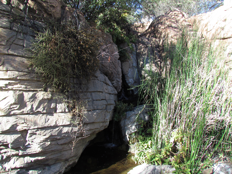 Earth Science Center - Waterfall at Cave Mouth