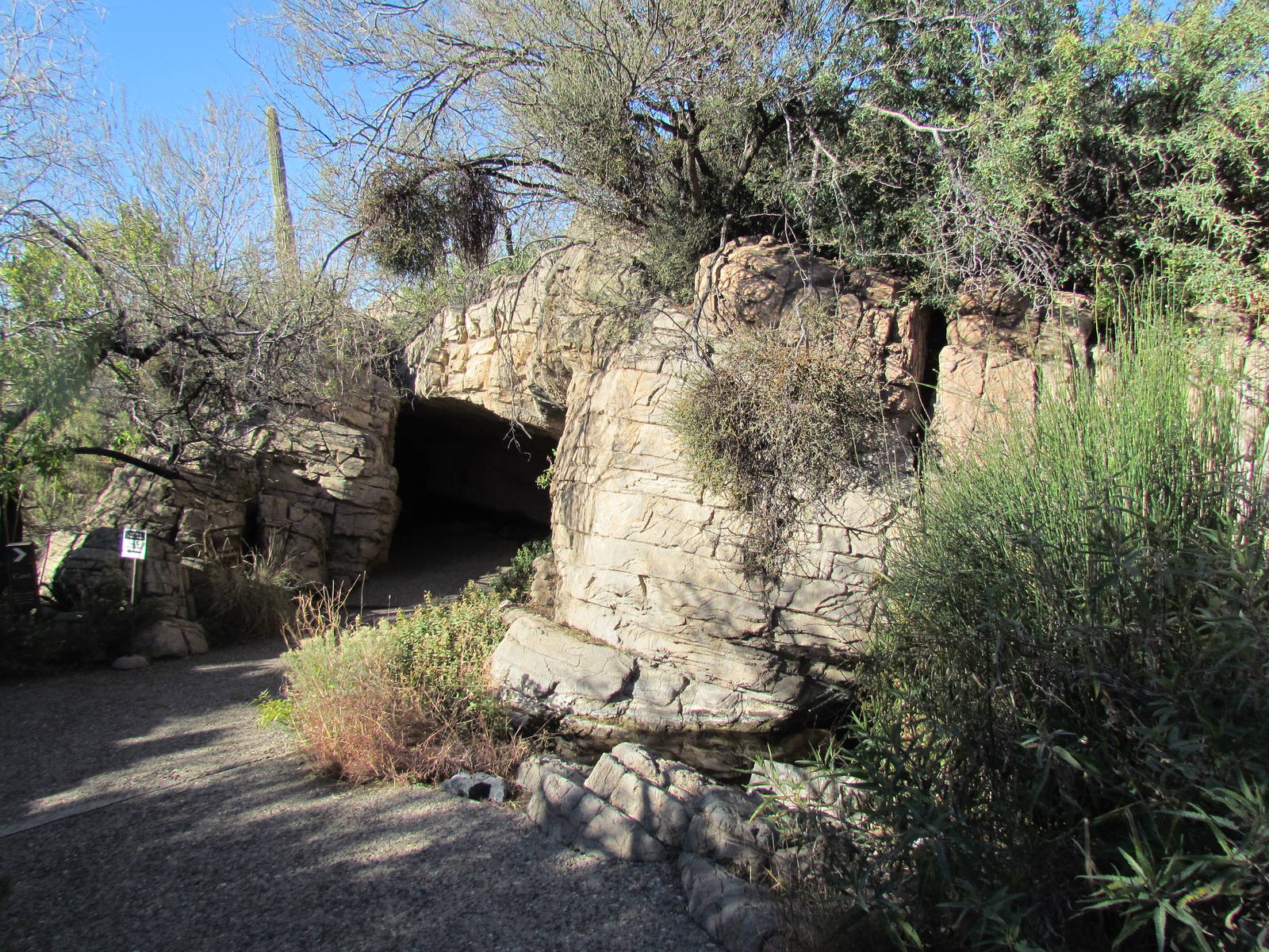 Earth Science Center