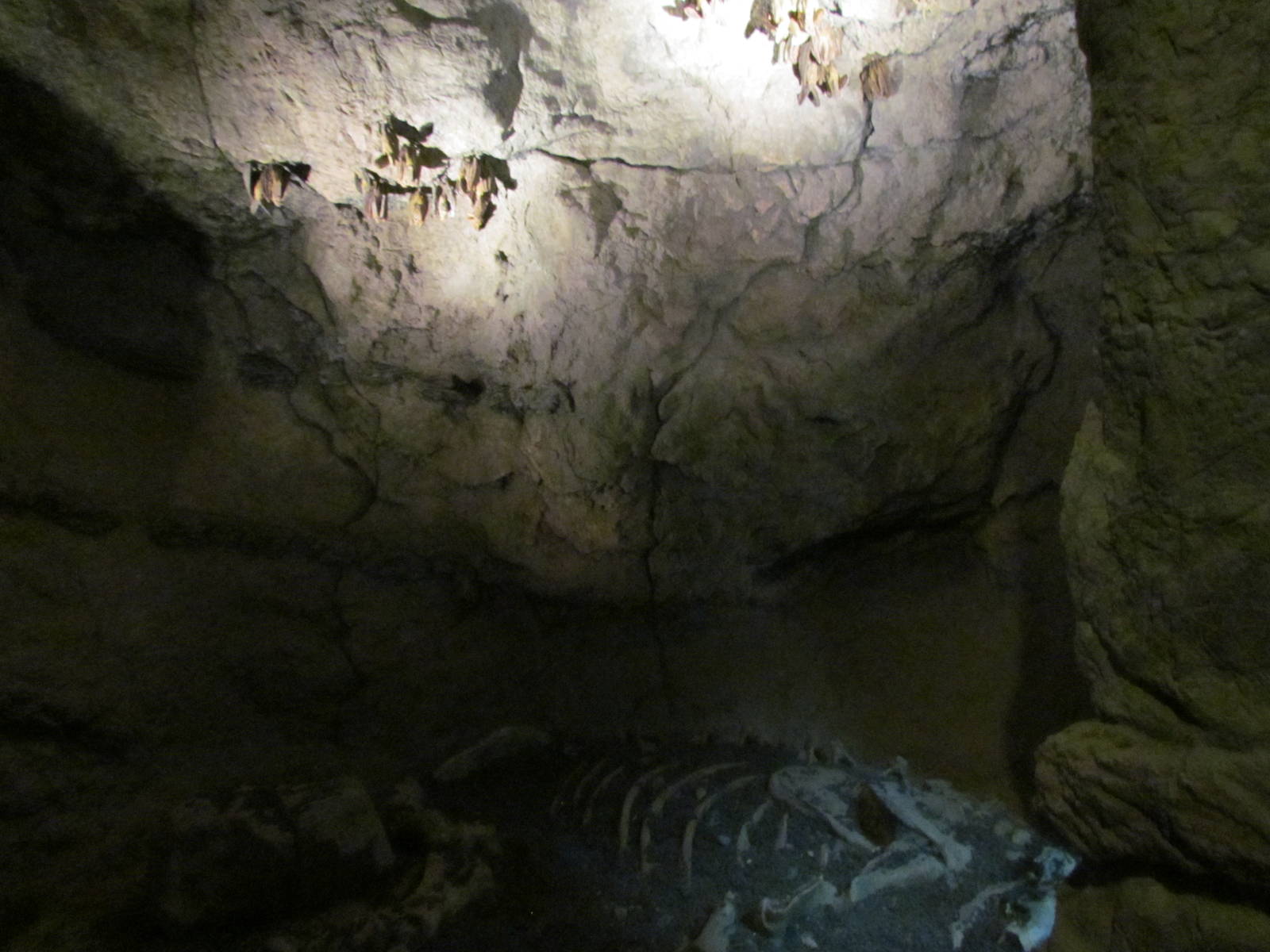 Earth Science Center