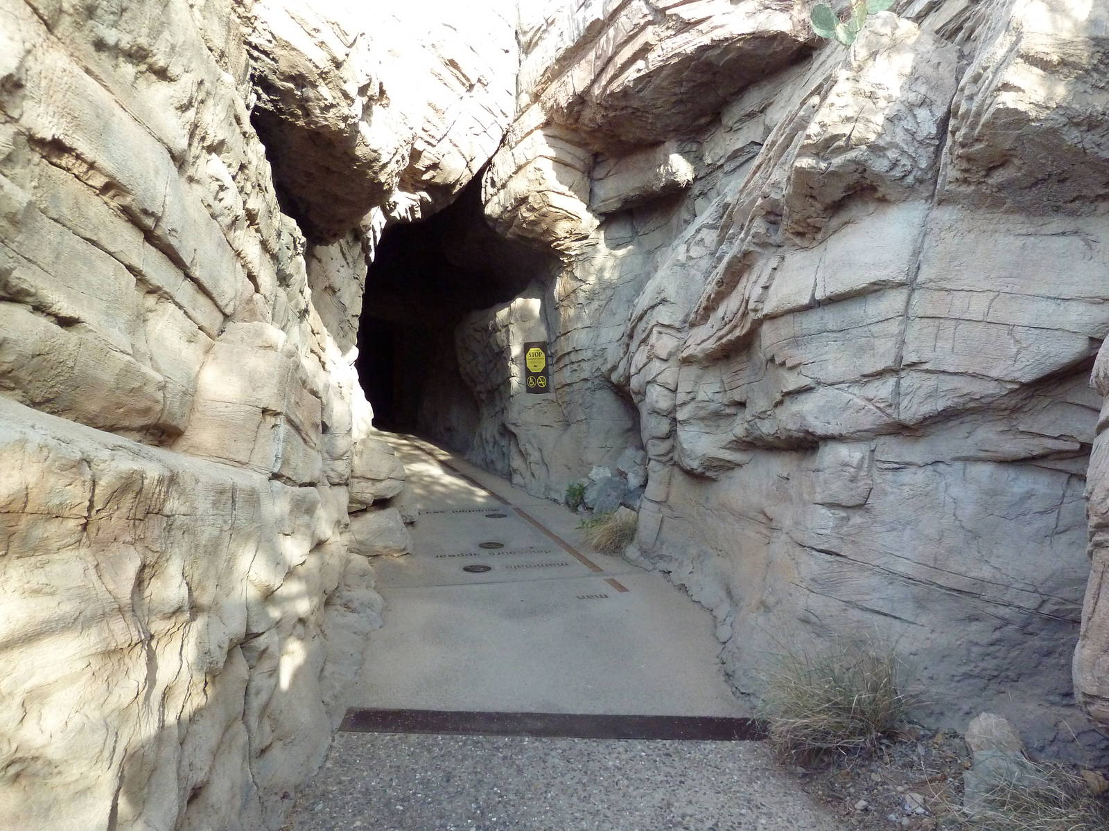 Earth Sciences Center - Cave Entrance