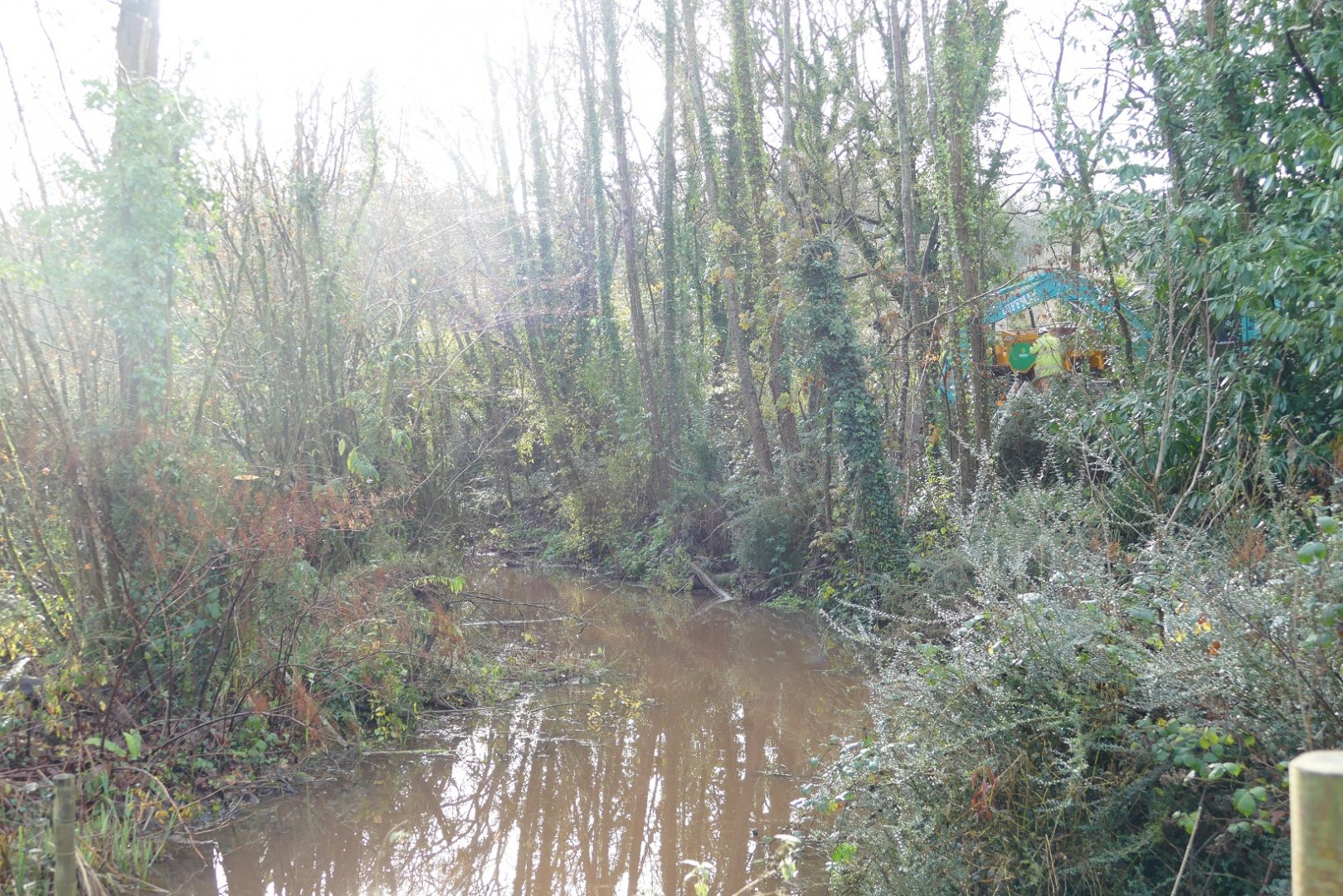 Earth works next to the gorilla moat, December 2020