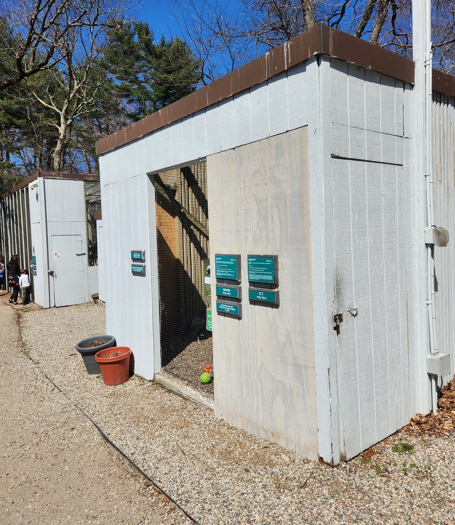 Earthplace - Bird of prey mews