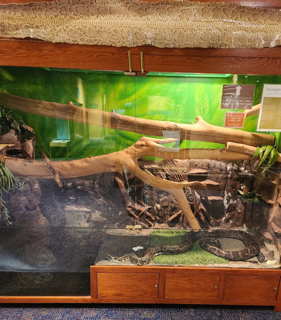 Earthplace - Burmese Python exhibit