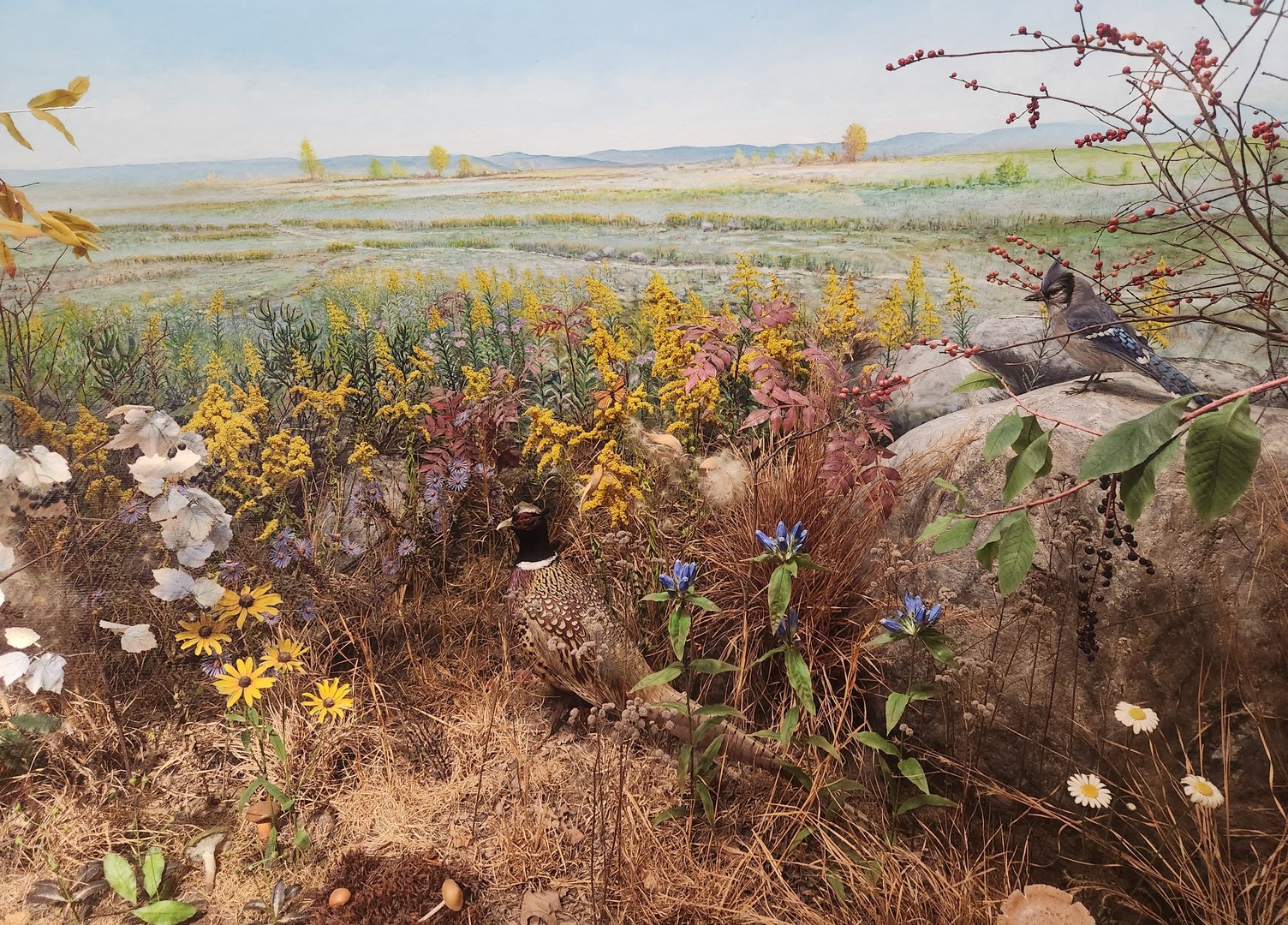 Earthplace - Field diorama