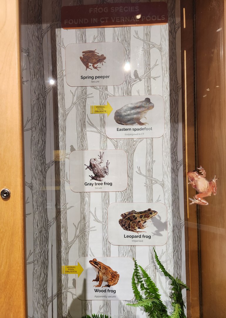 Earthplace - Frogs of Connecticut
