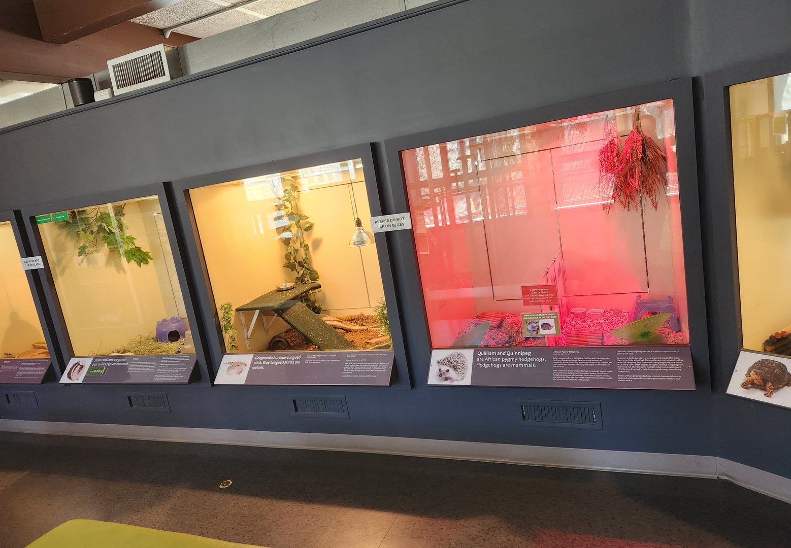 Earthplace - Indoor exhibit rows