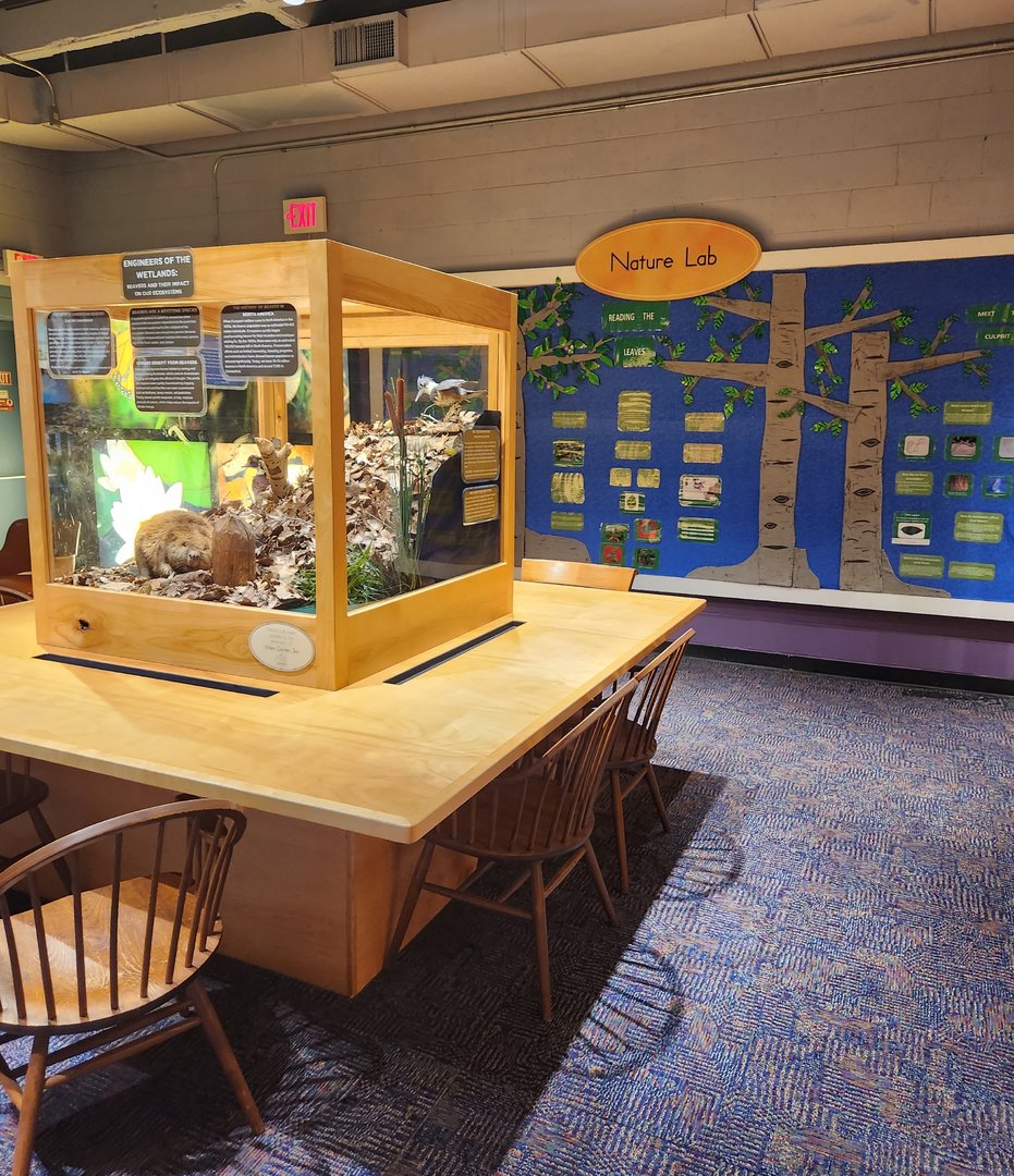 Earthplace - Museum room