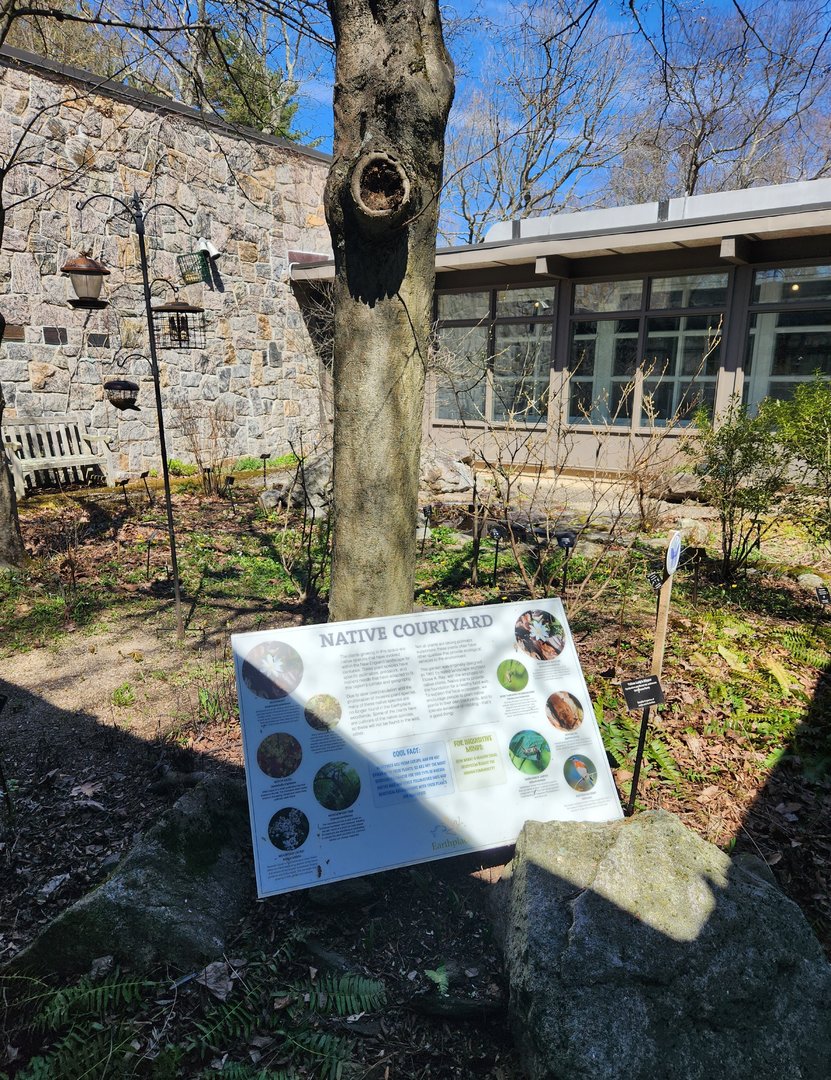 Earthplace - Native courtyard