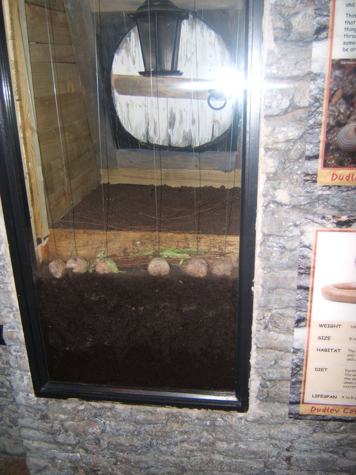 Earthworm exhibit