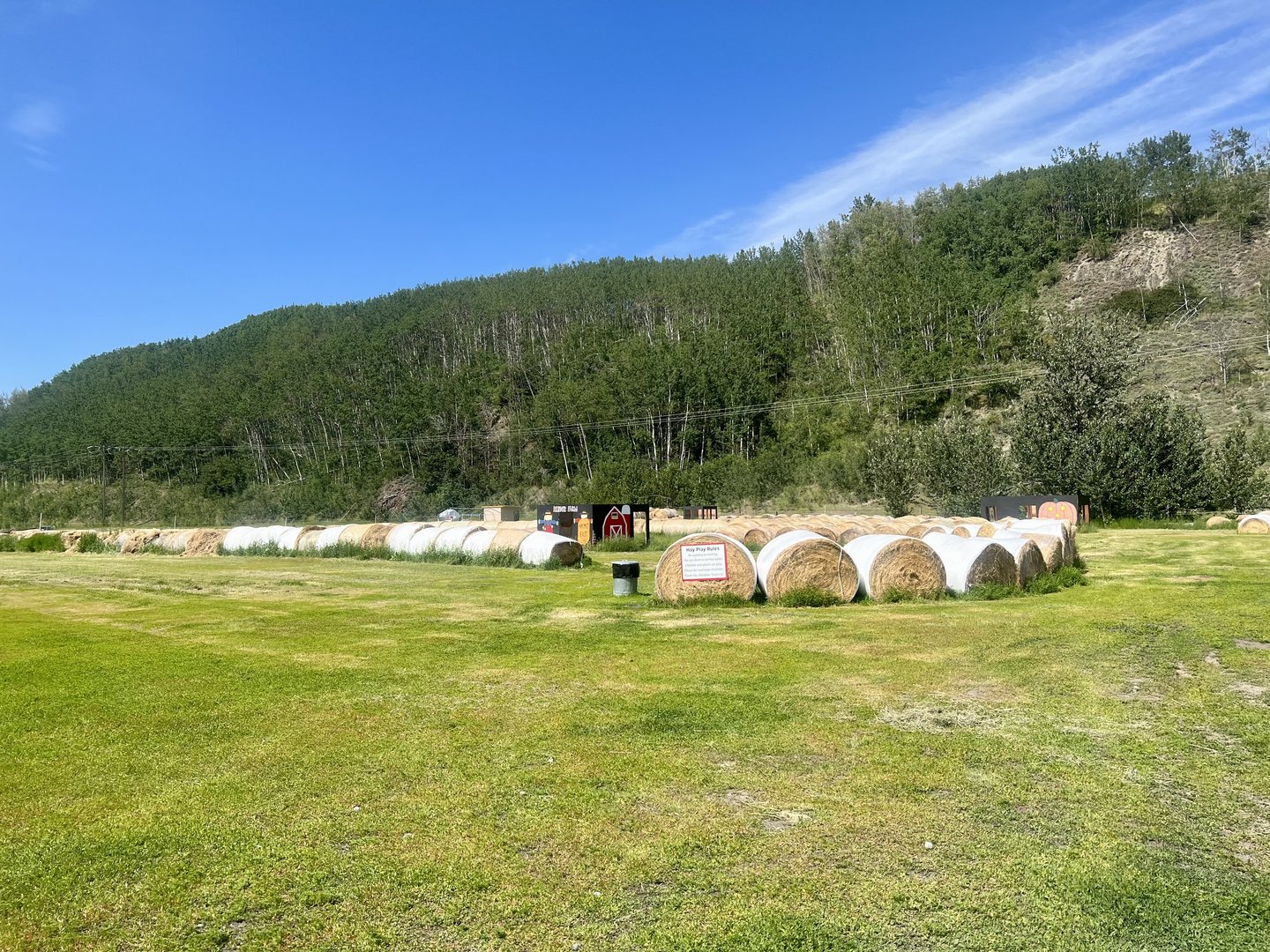 Easiest hay bale maze ever
