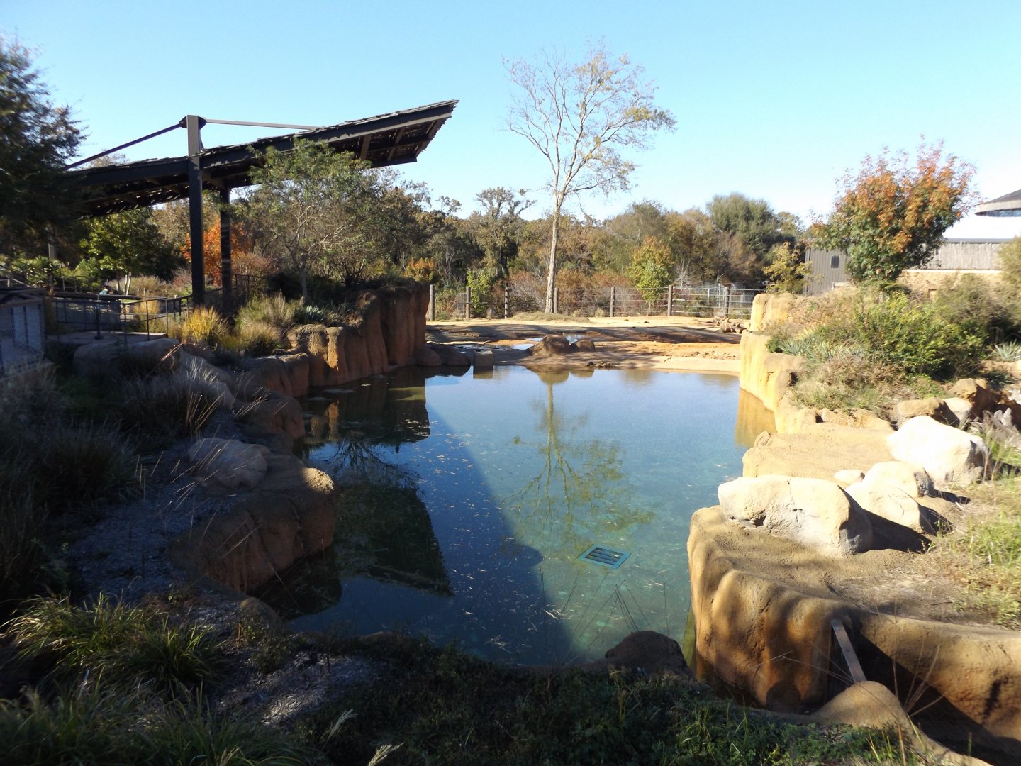 East Africa- Elephant Pool