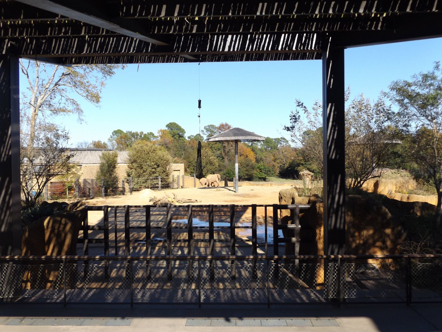 East Africa- Elephant training wall