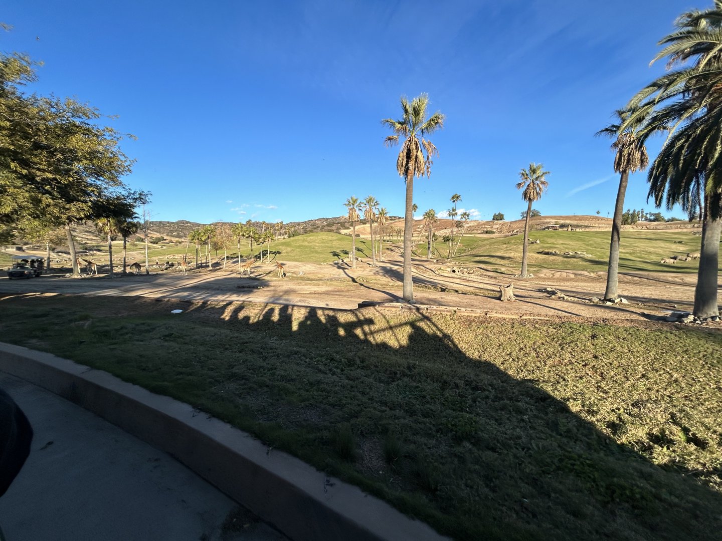 East Africa Field Exhibit