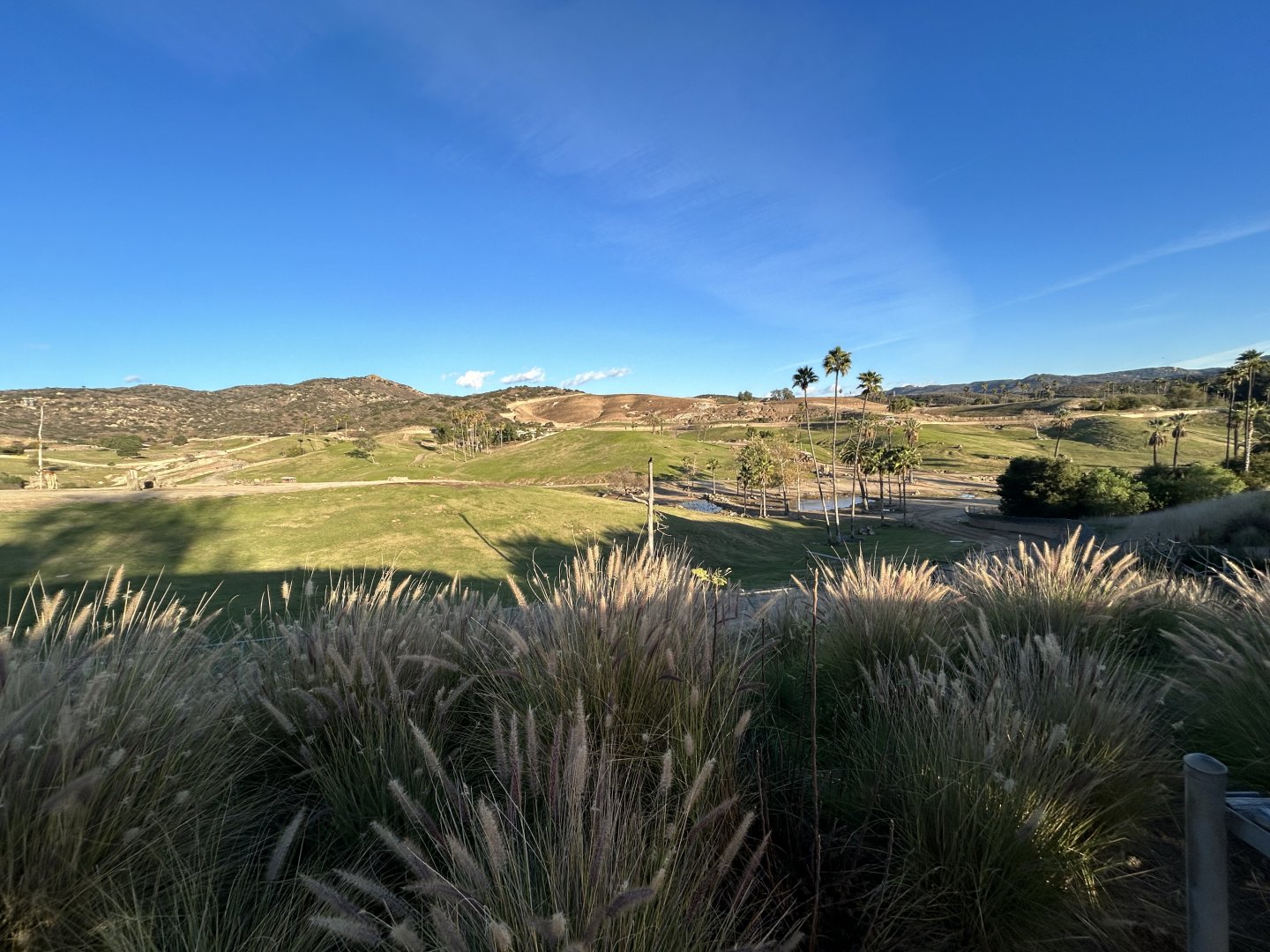 East Africa Field Exhibit