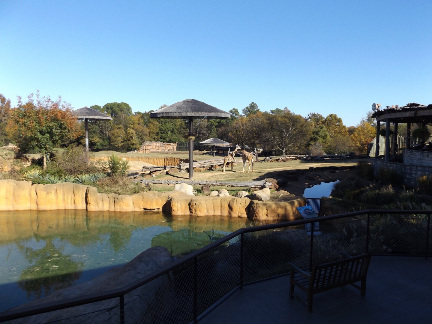 East Africa overlook