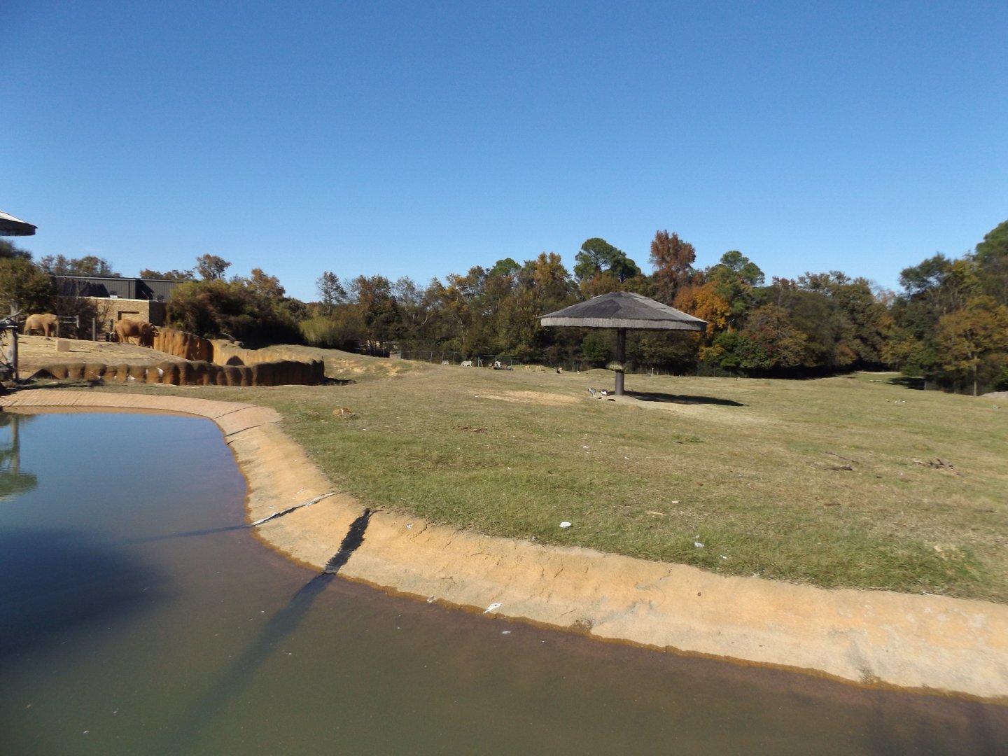 East Africa- savannah exhibit