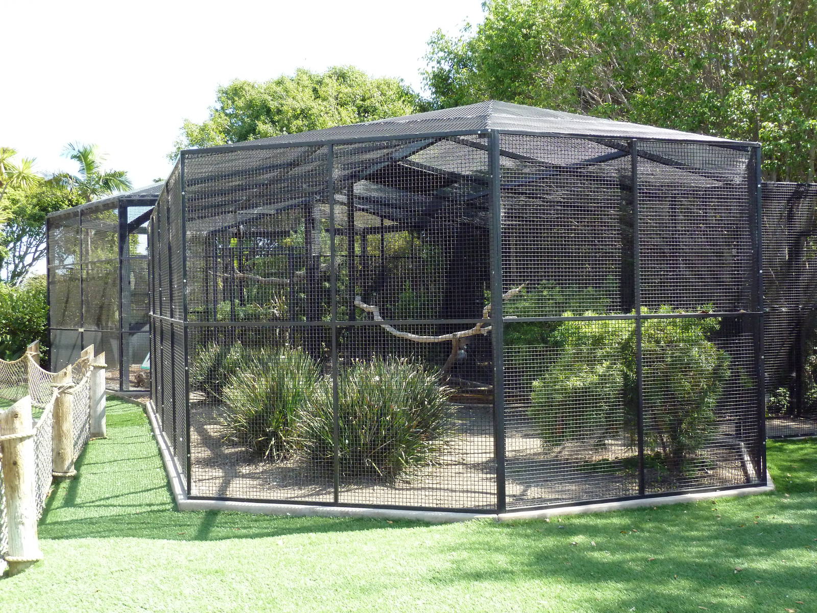 East African Crowned Crane Exhibit