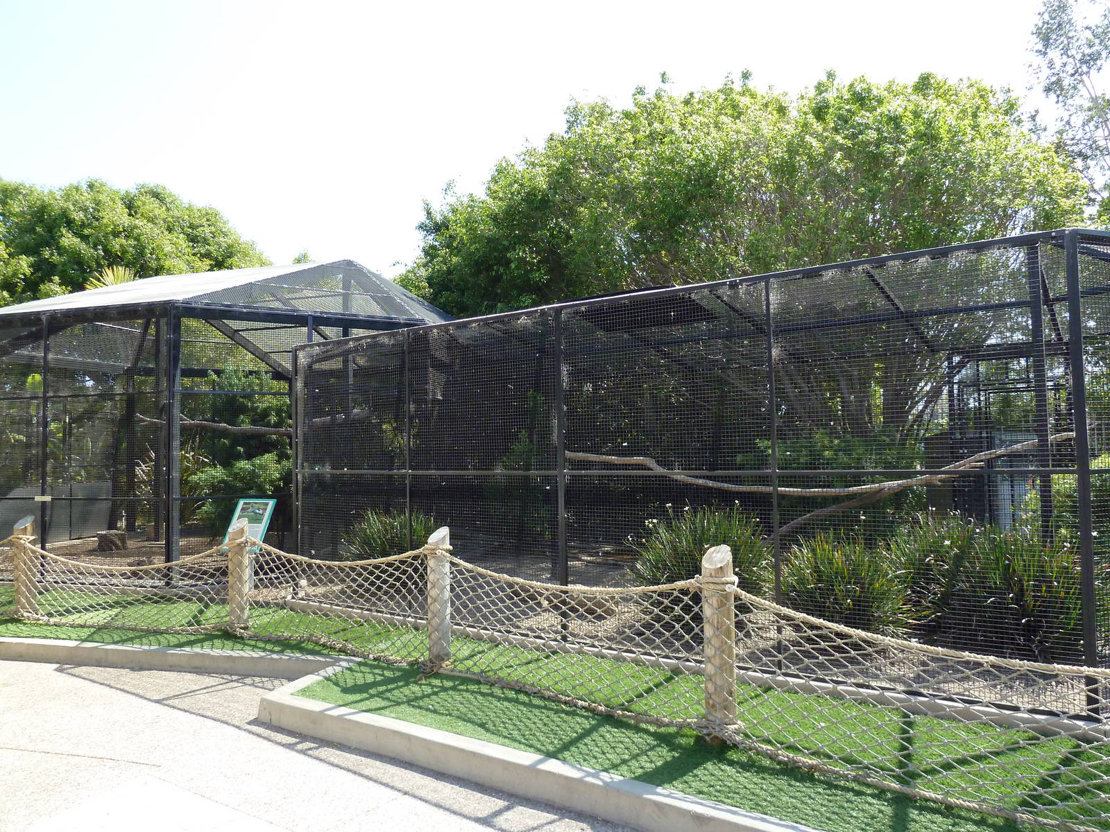 East African Crowned Crane Exhibit