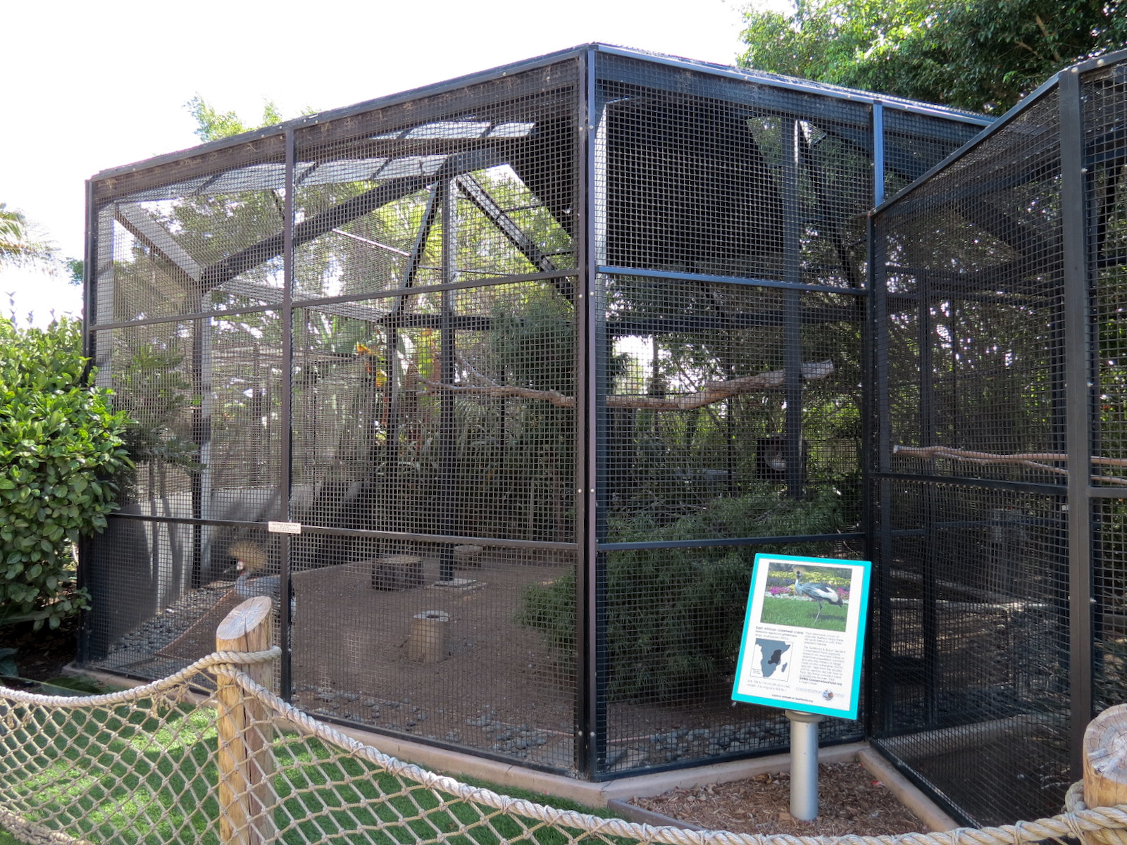East African Crowned Crane Exhibit