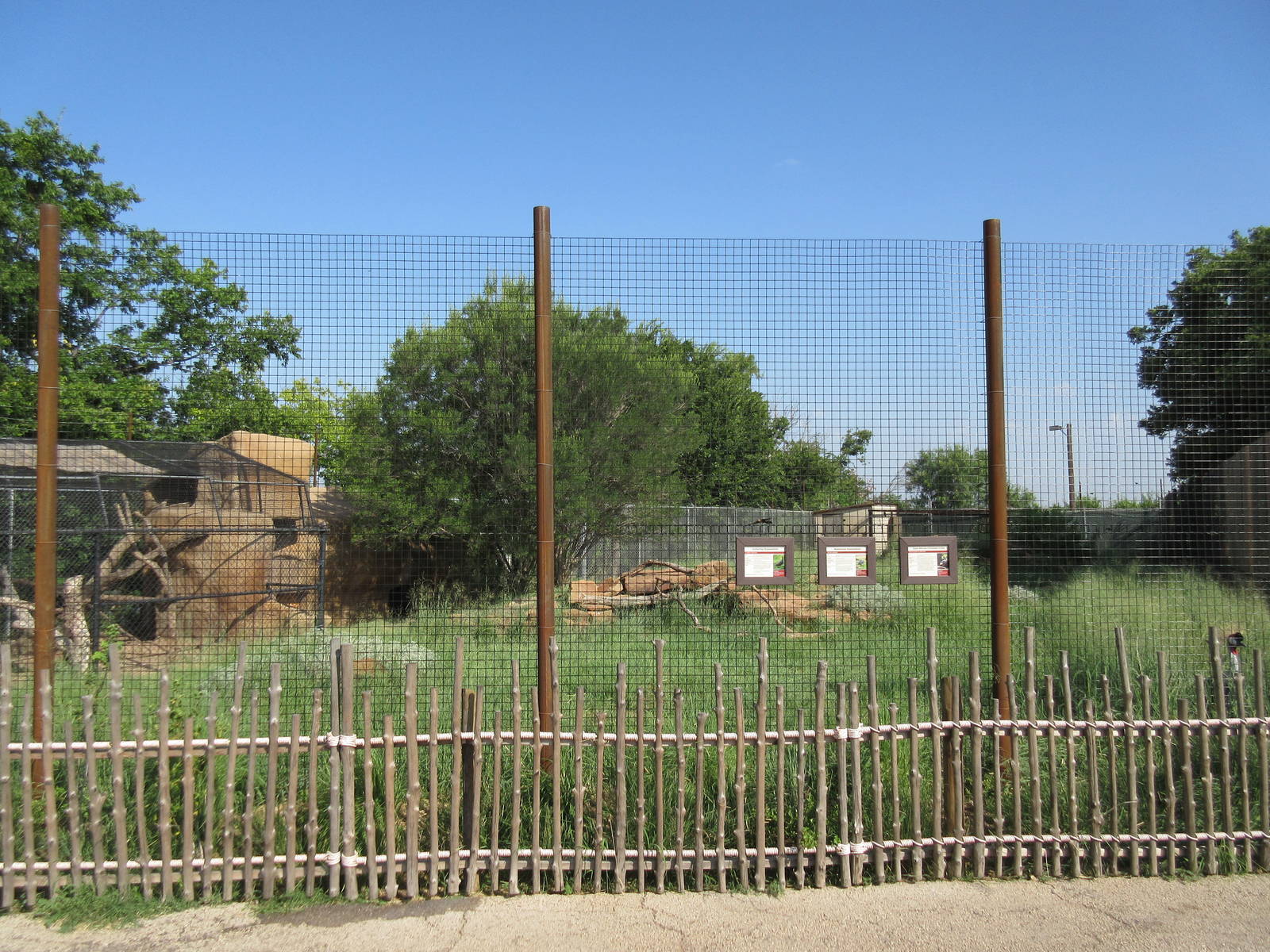 East African Crowned Crane/Helmeted Guineafowl/Vulturine Guineafowl Exhibit
