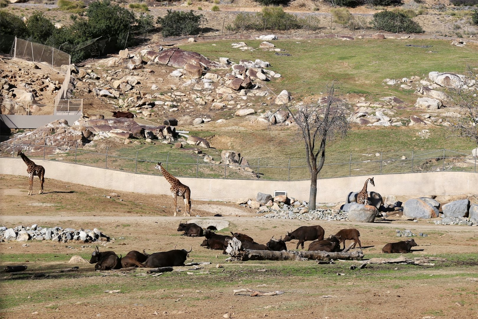 East African Field Exhibit