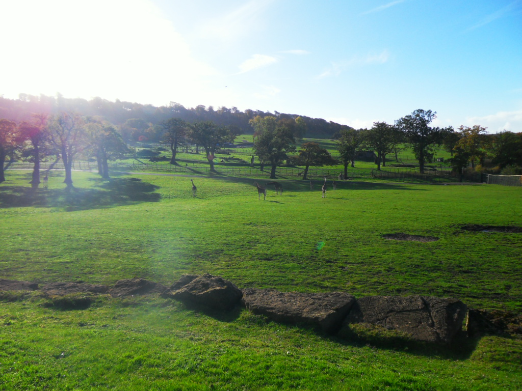 East African Game reserve